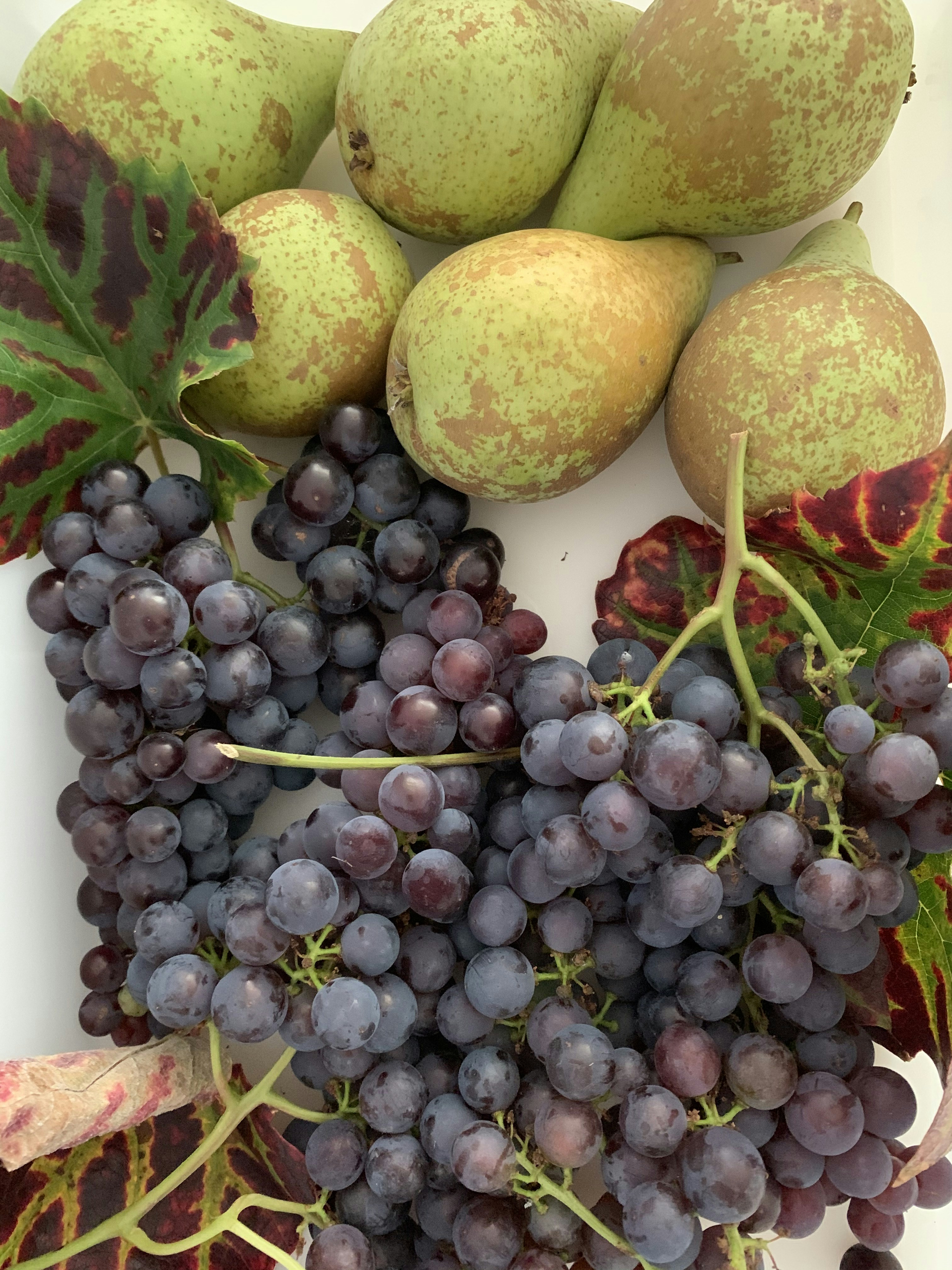 Photo by photosfromhome