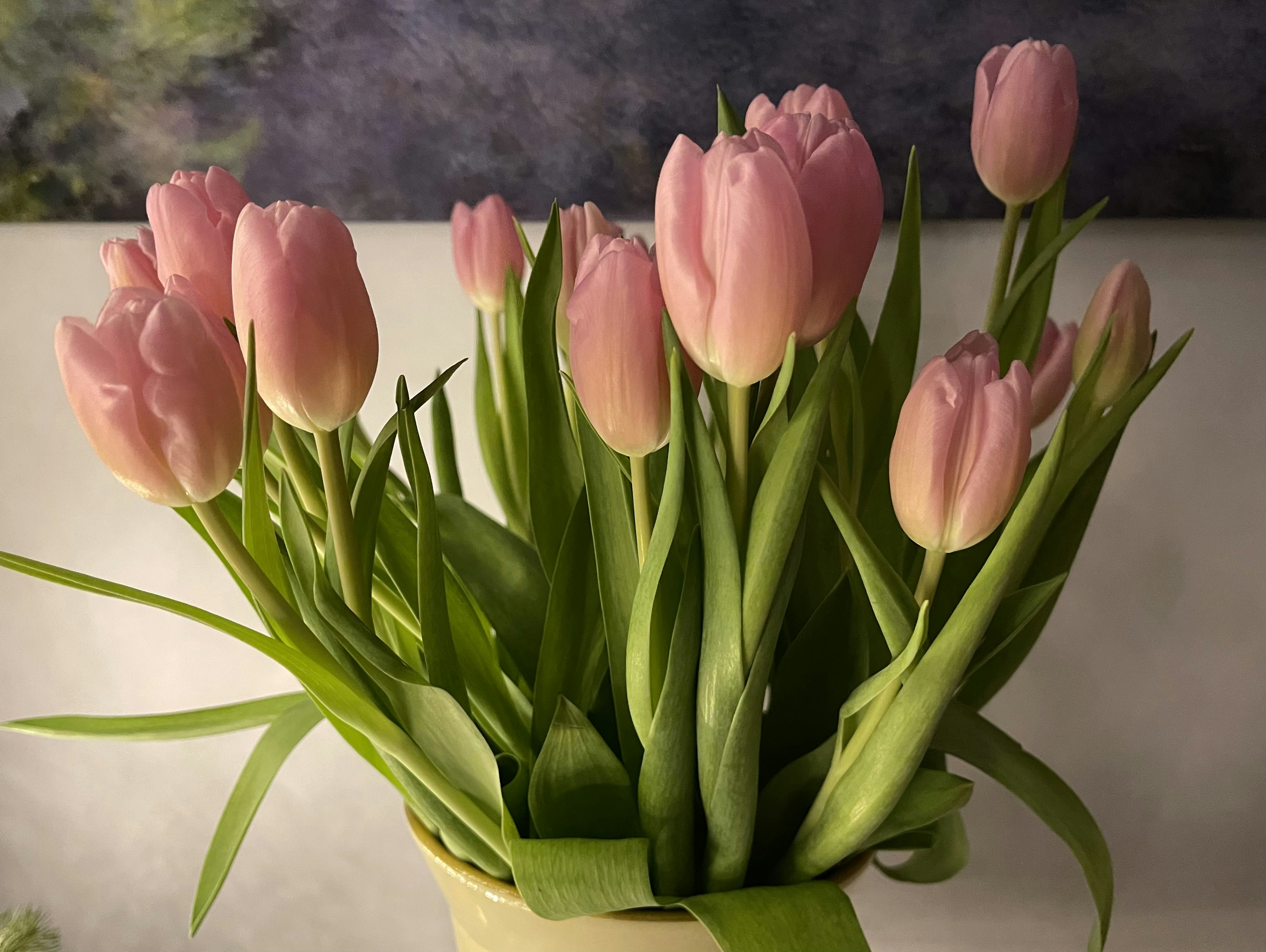 Photo by photosfromhome