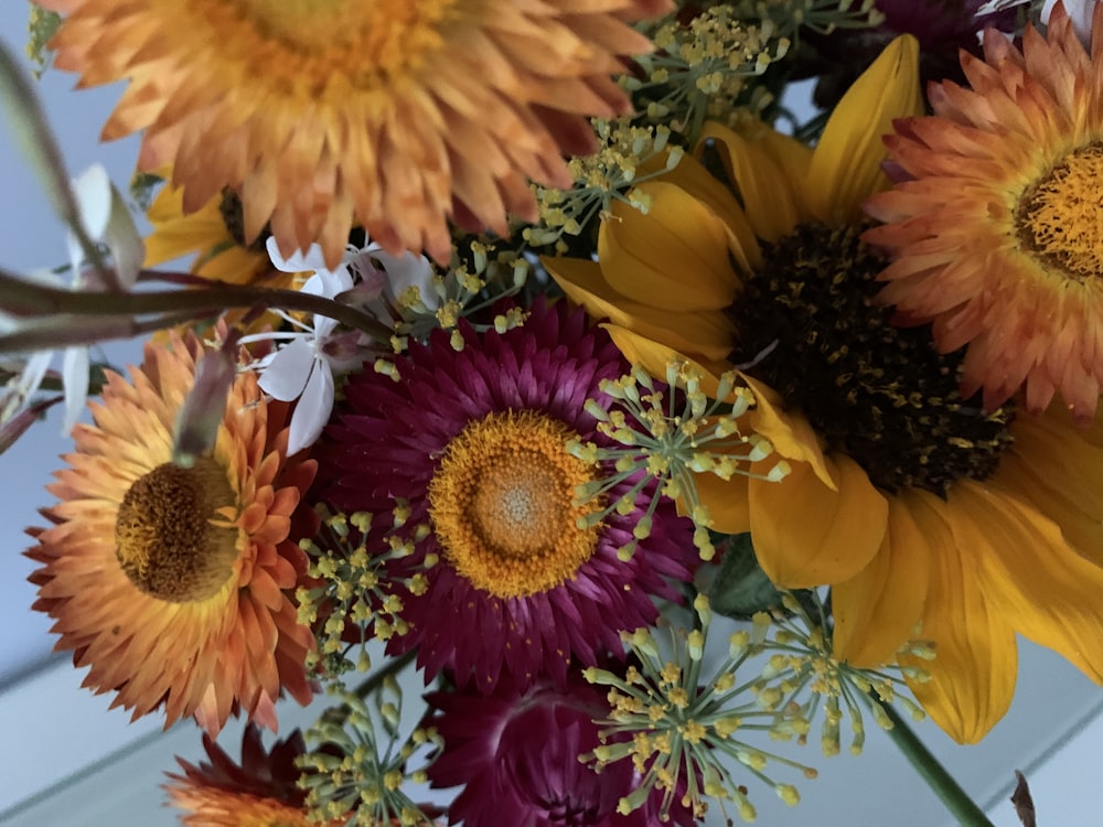 a group of sunflowers