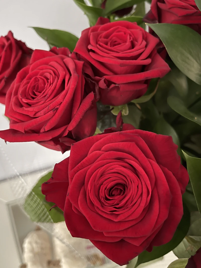 Mazzo di rose rosse in abbondanza