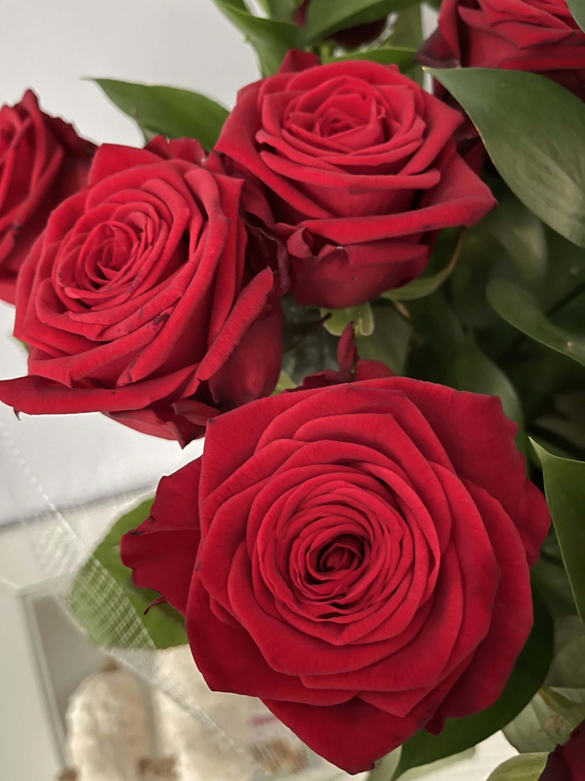 a group of red roses