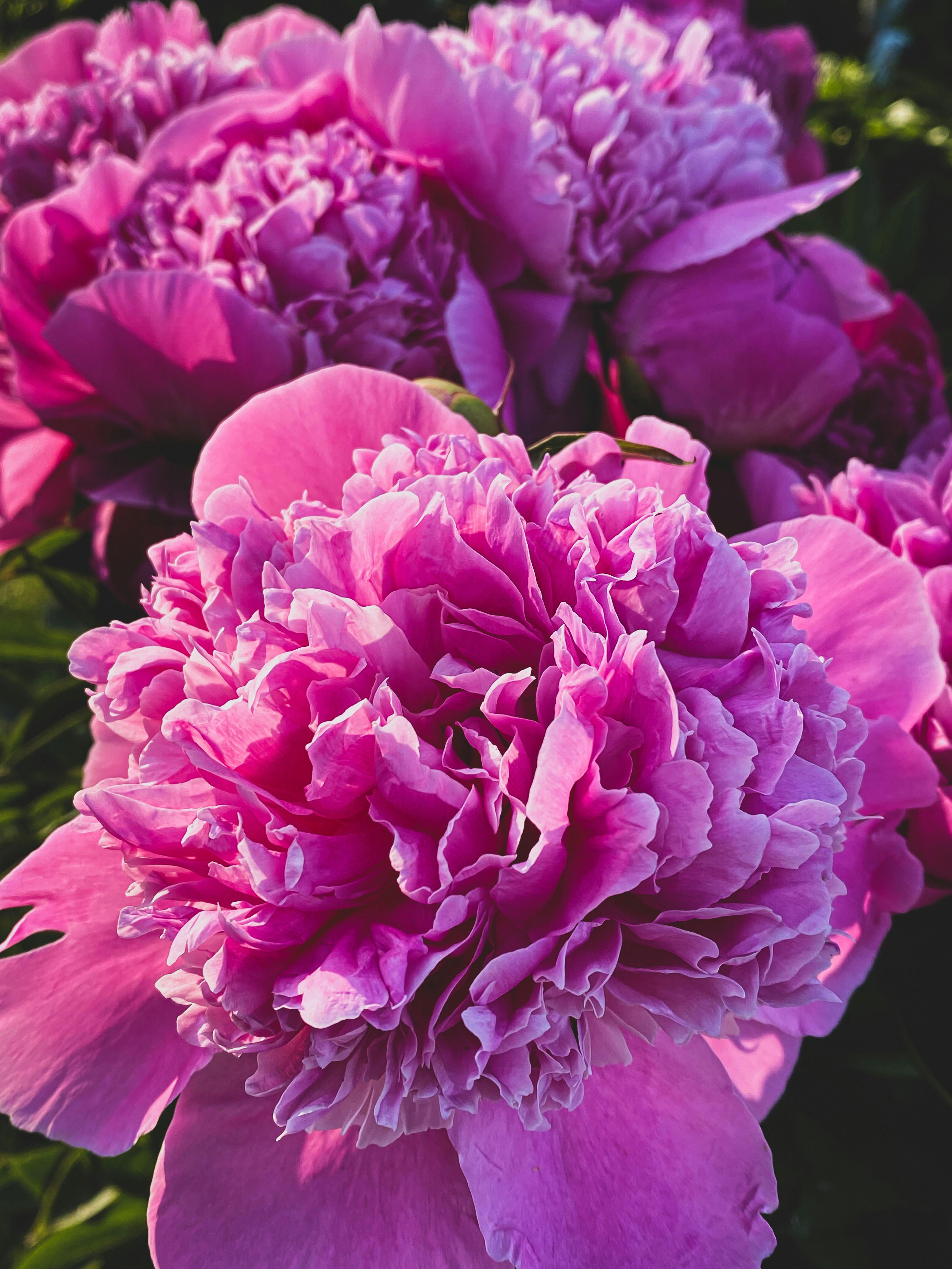 Photo by lxnndaireach