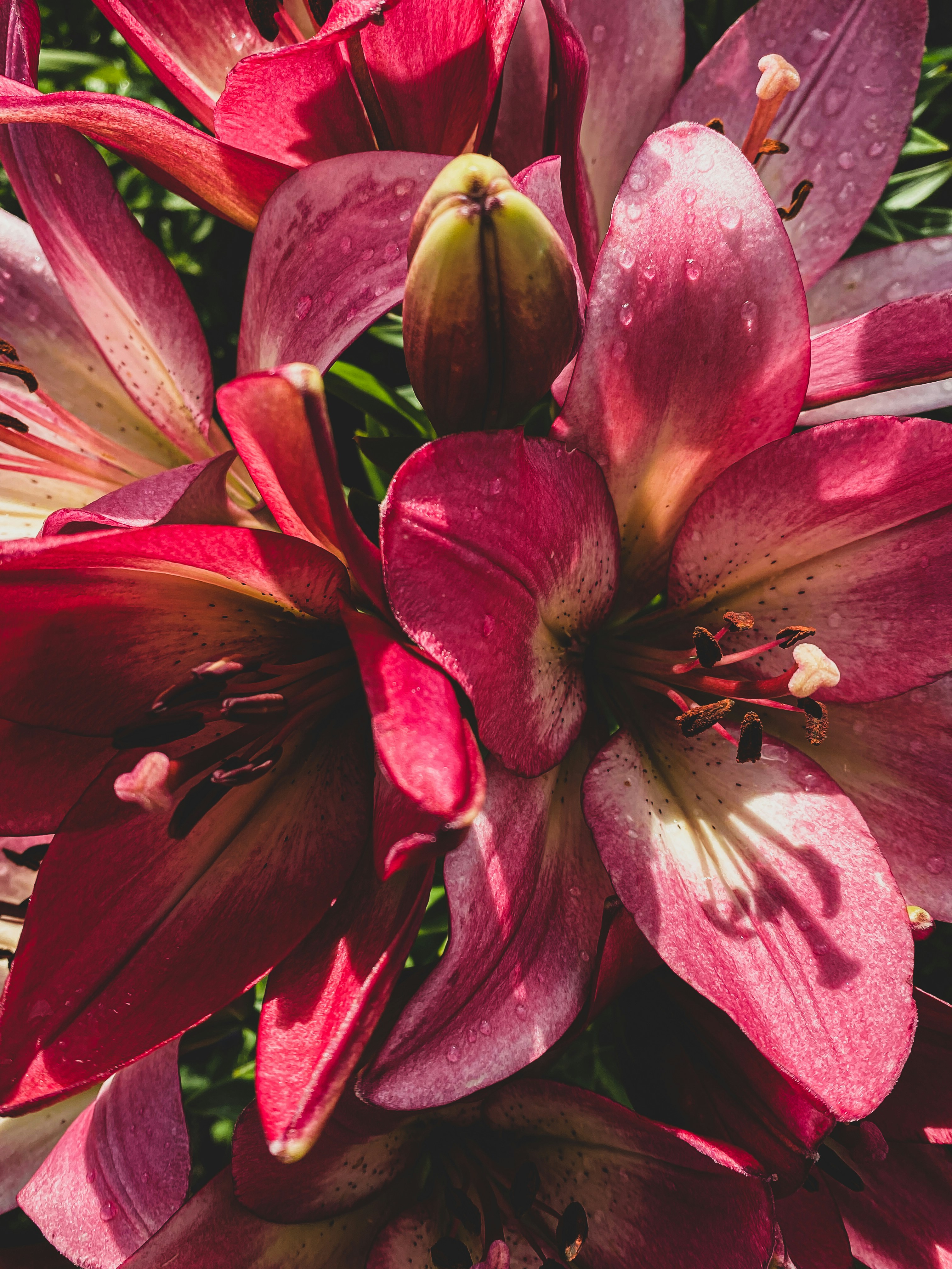 Photo by lxnndaireach