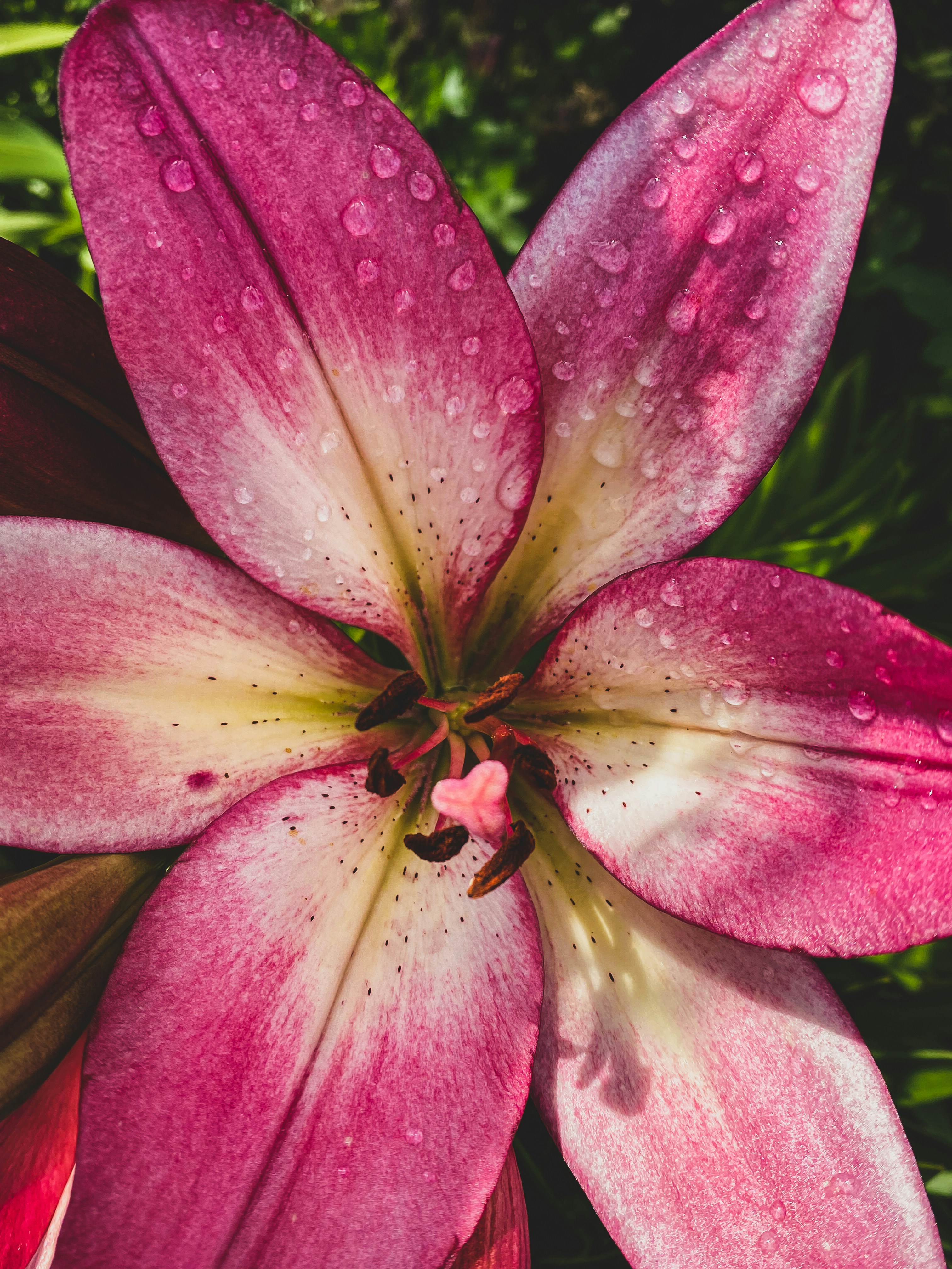 Photo by lxnndaireach