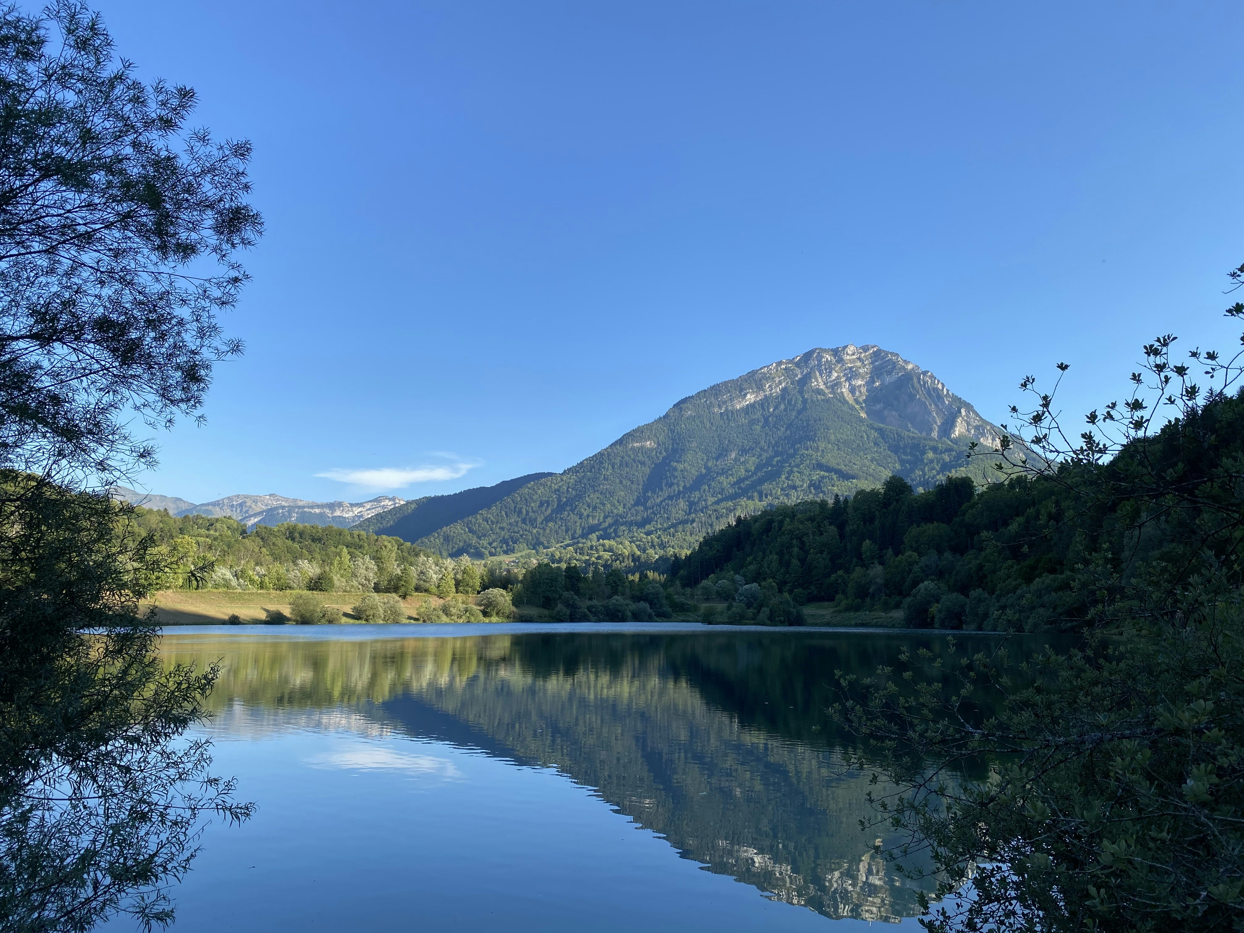 Photo by nature_addict