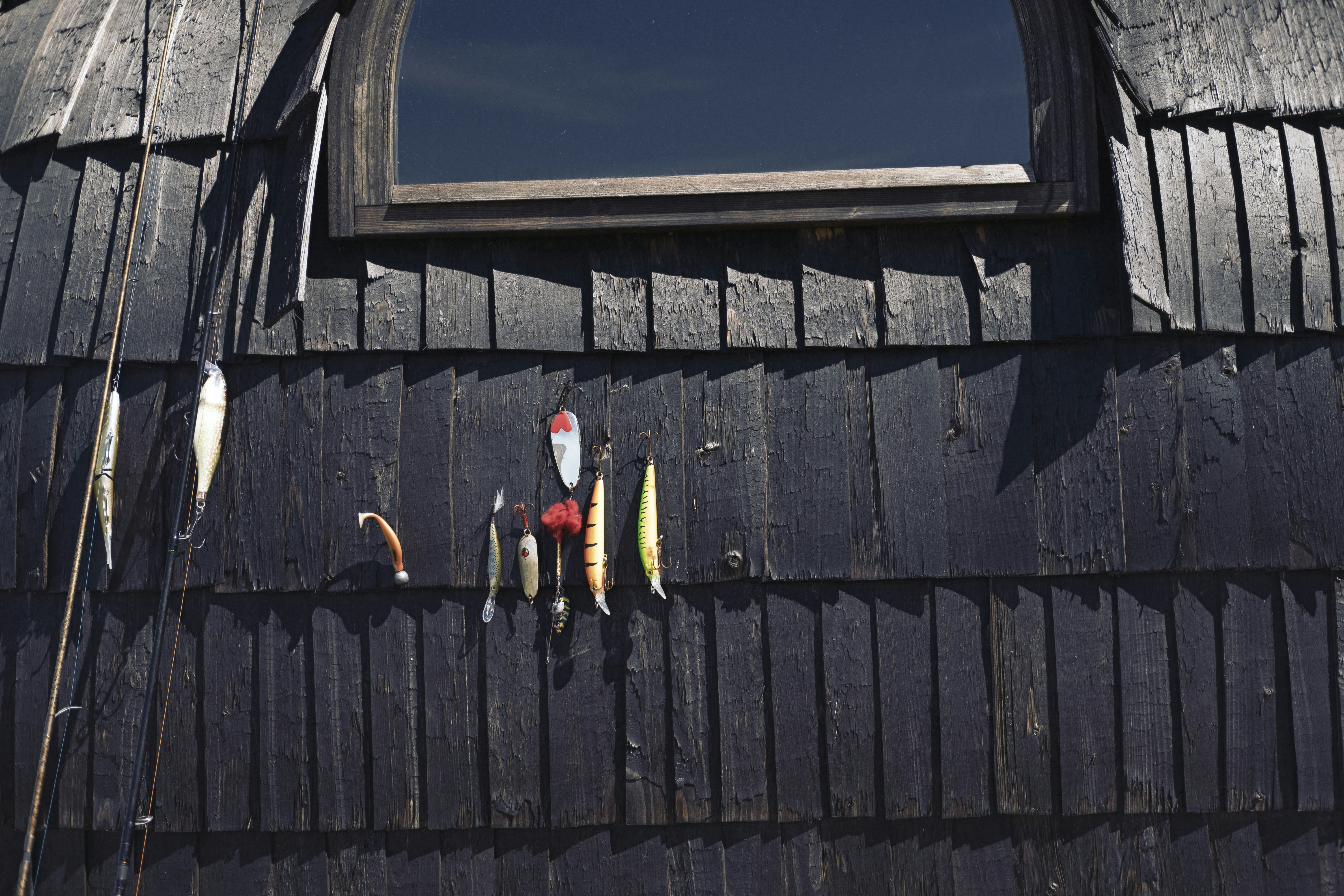 a group of birds on a wooden fence