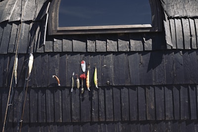 a group of birds on a wooden fence