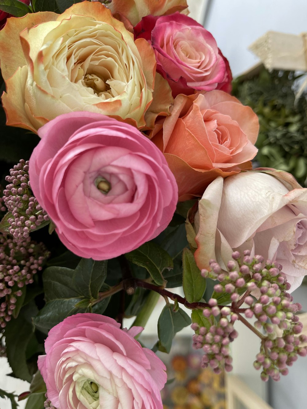 a group of pink flowers