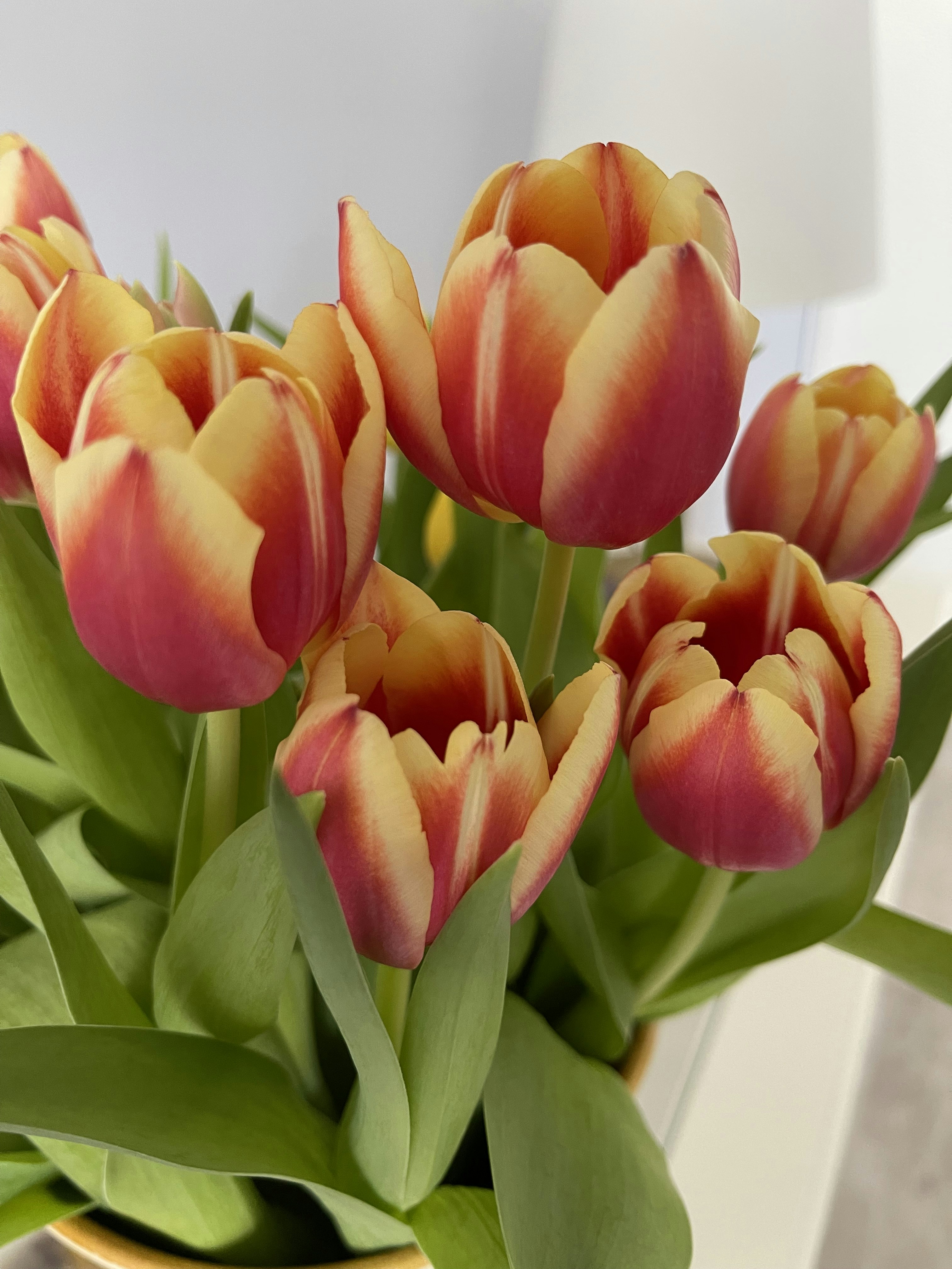 Photo by photosfromhome