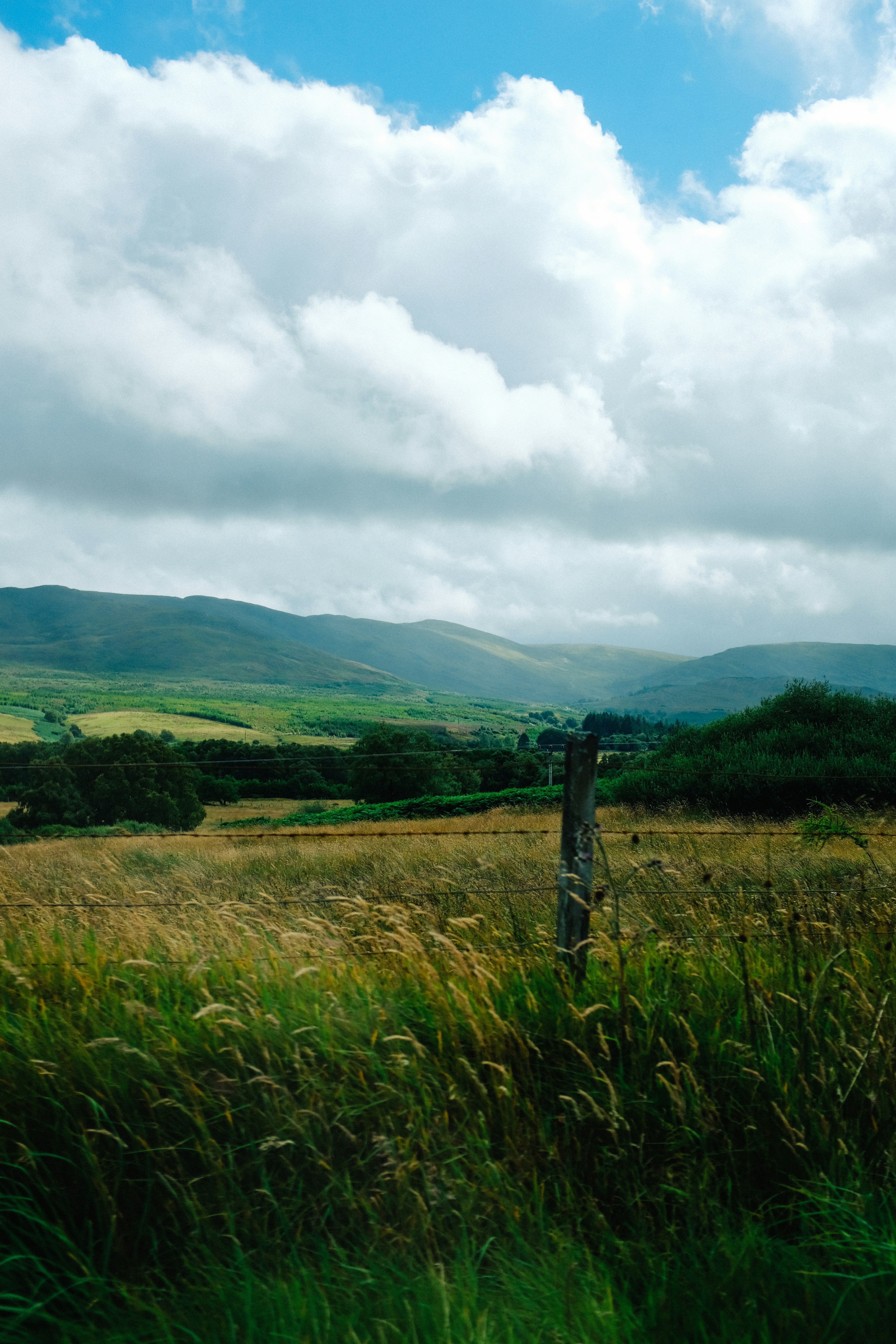 Photo by adrienolichon