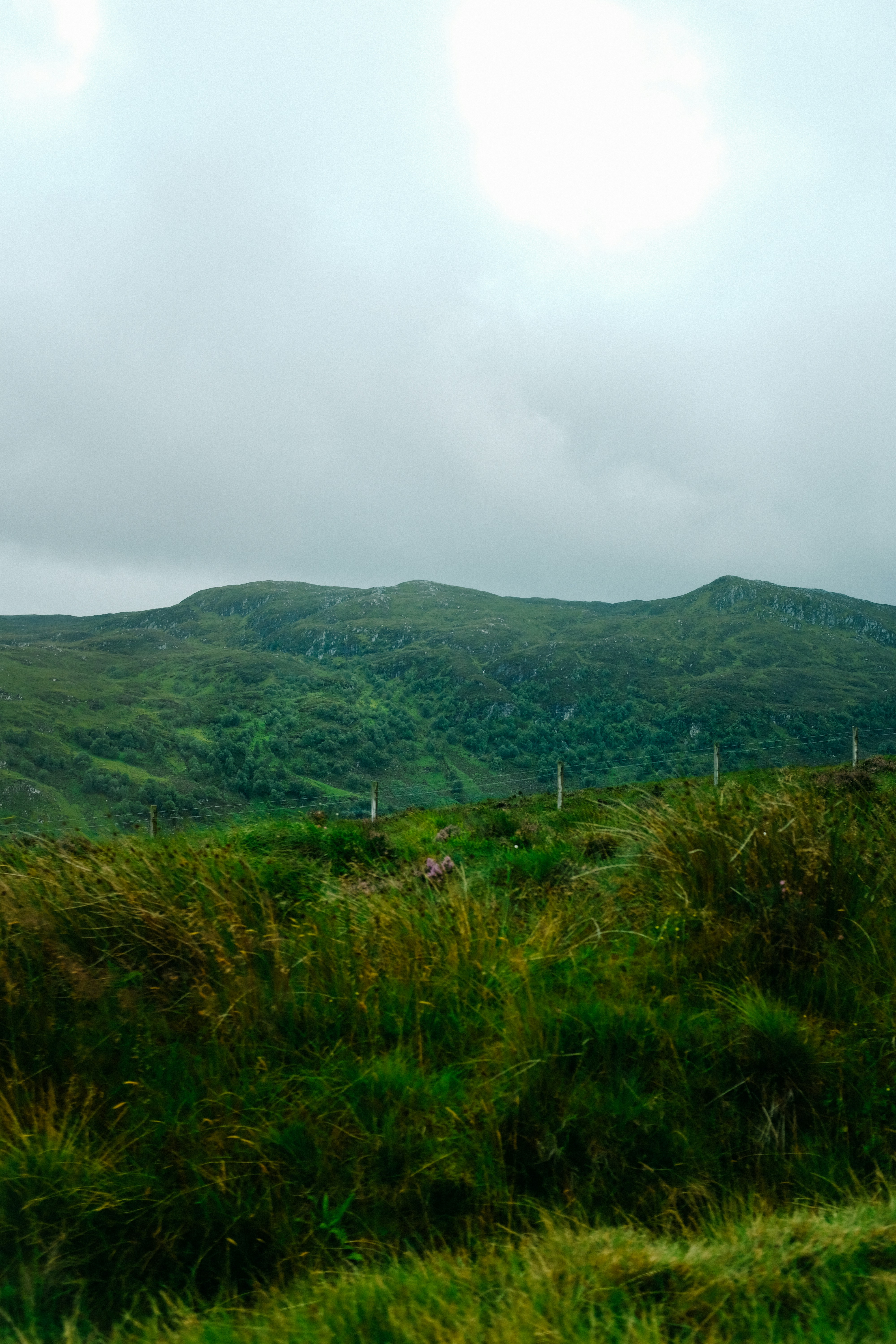 Photo by adrienolichon