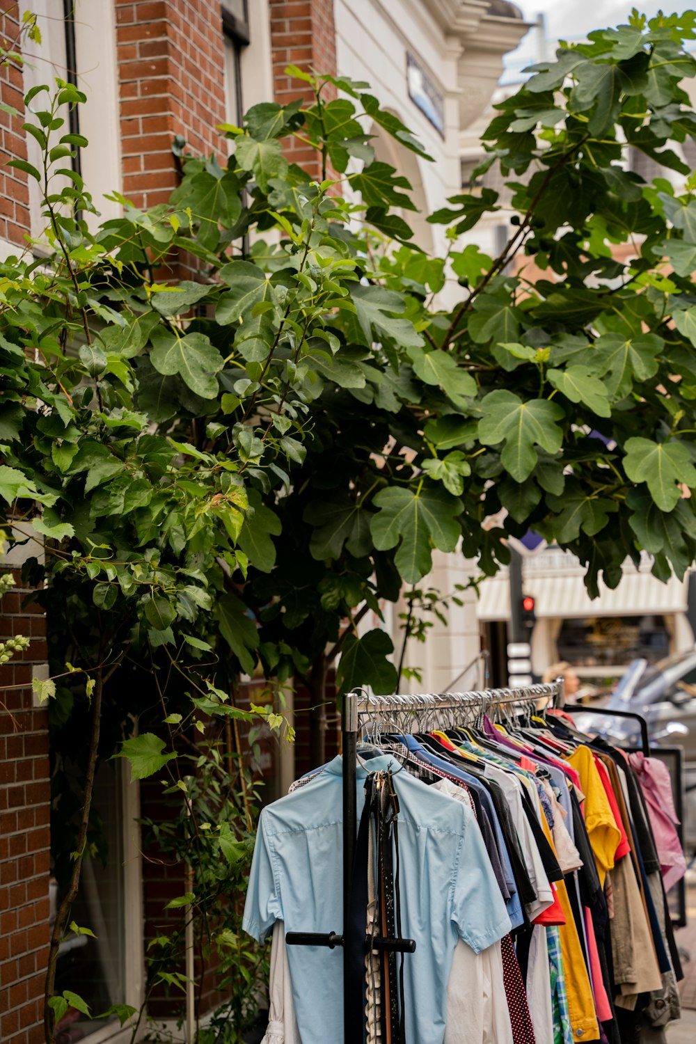 a tree with clothes on it