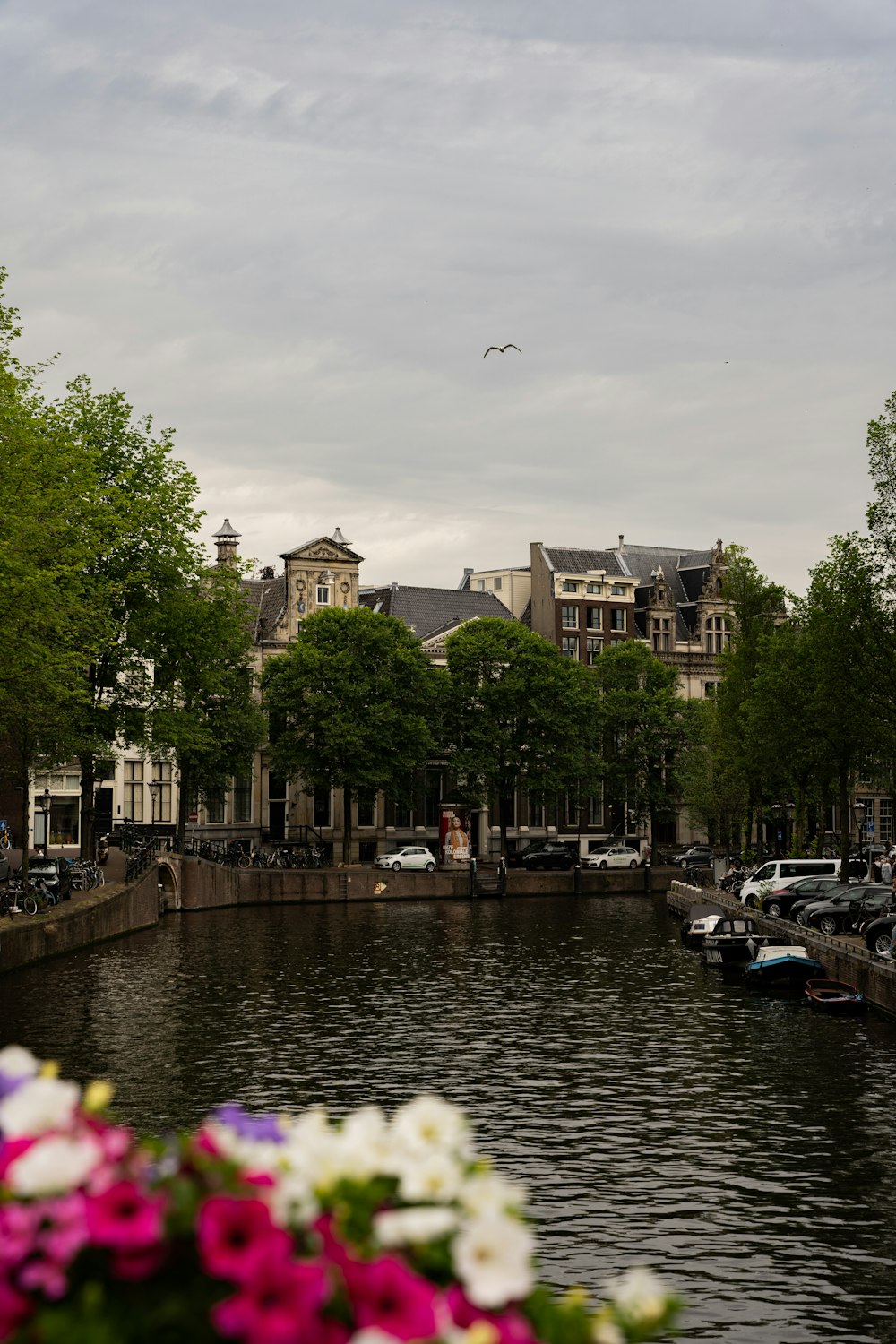 a body of water with boats and buildings around it