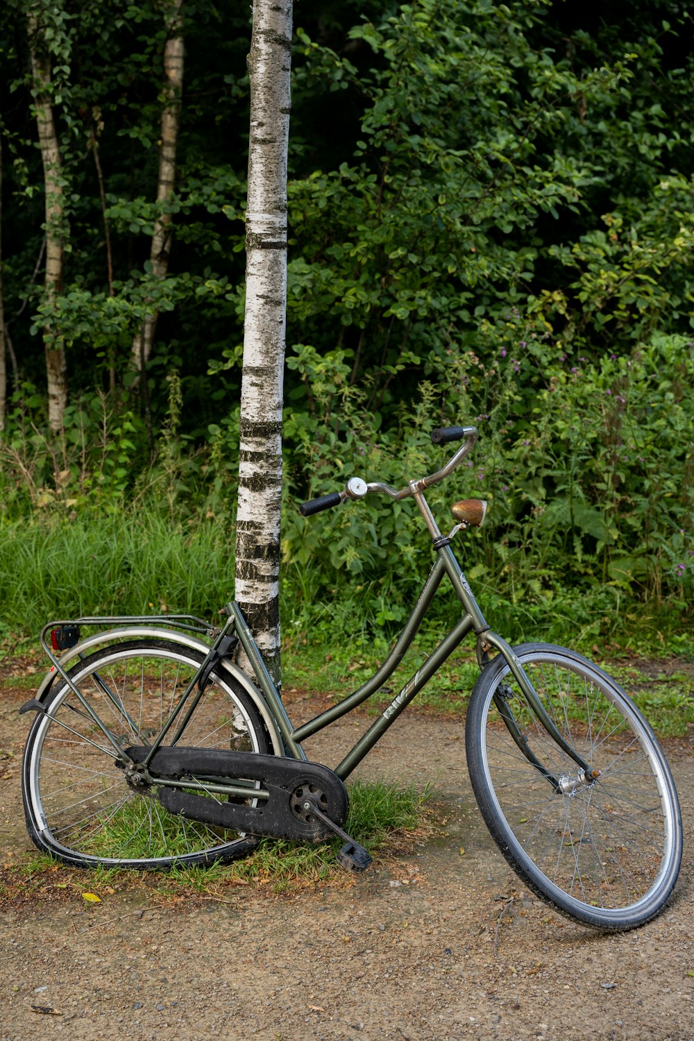 a bicycle parked by a tree