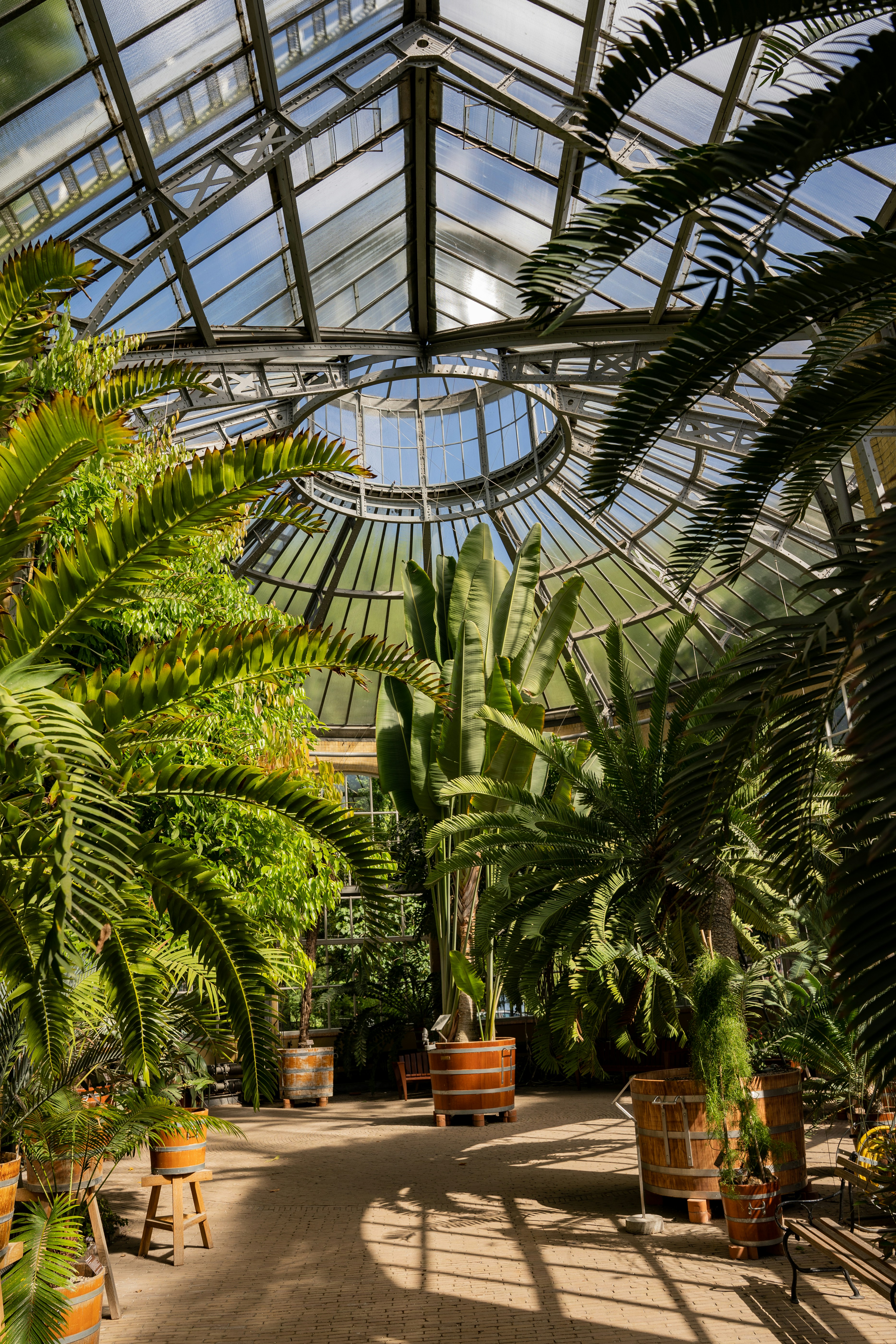 a large indoor planter garden