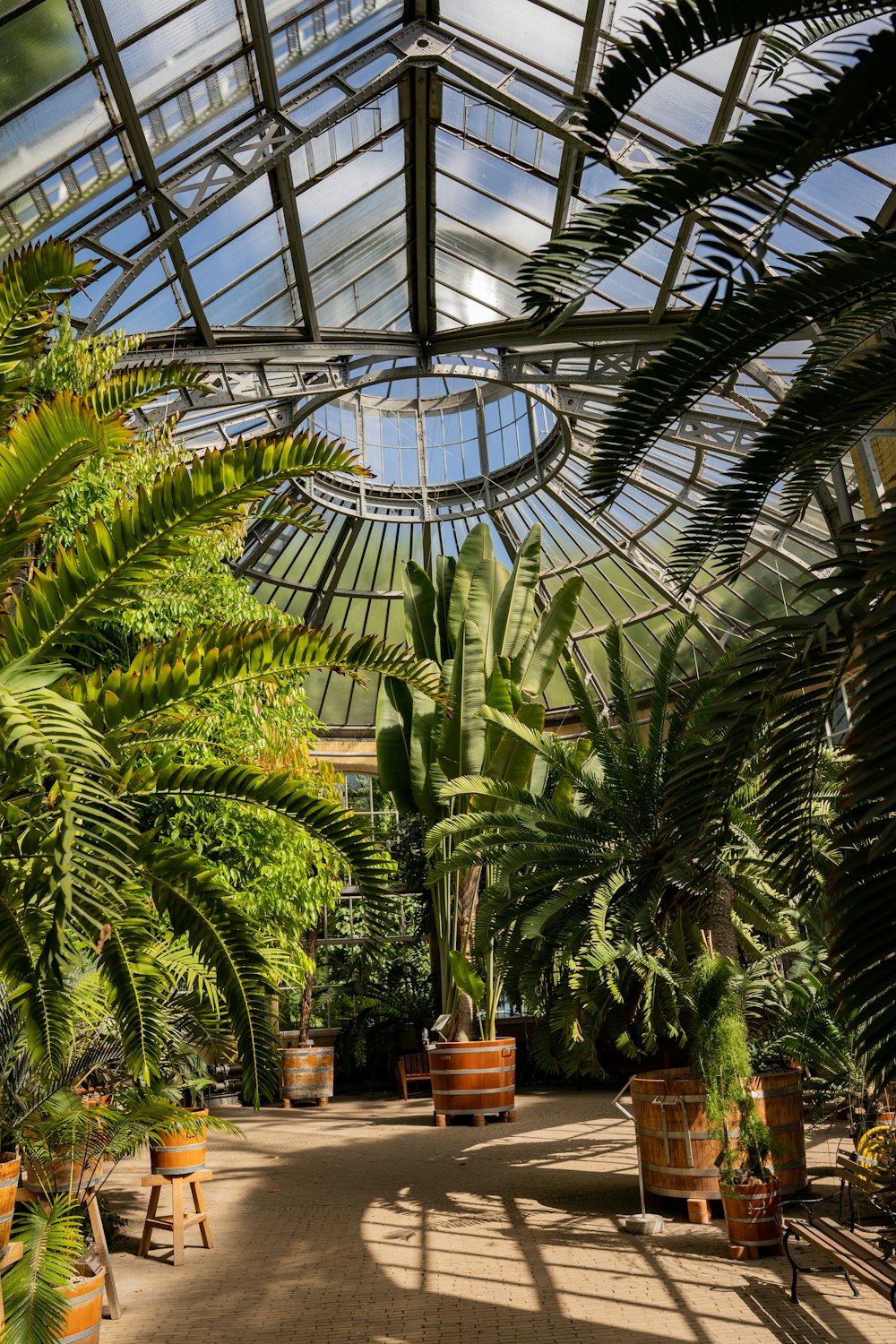 a large indoor planter garden