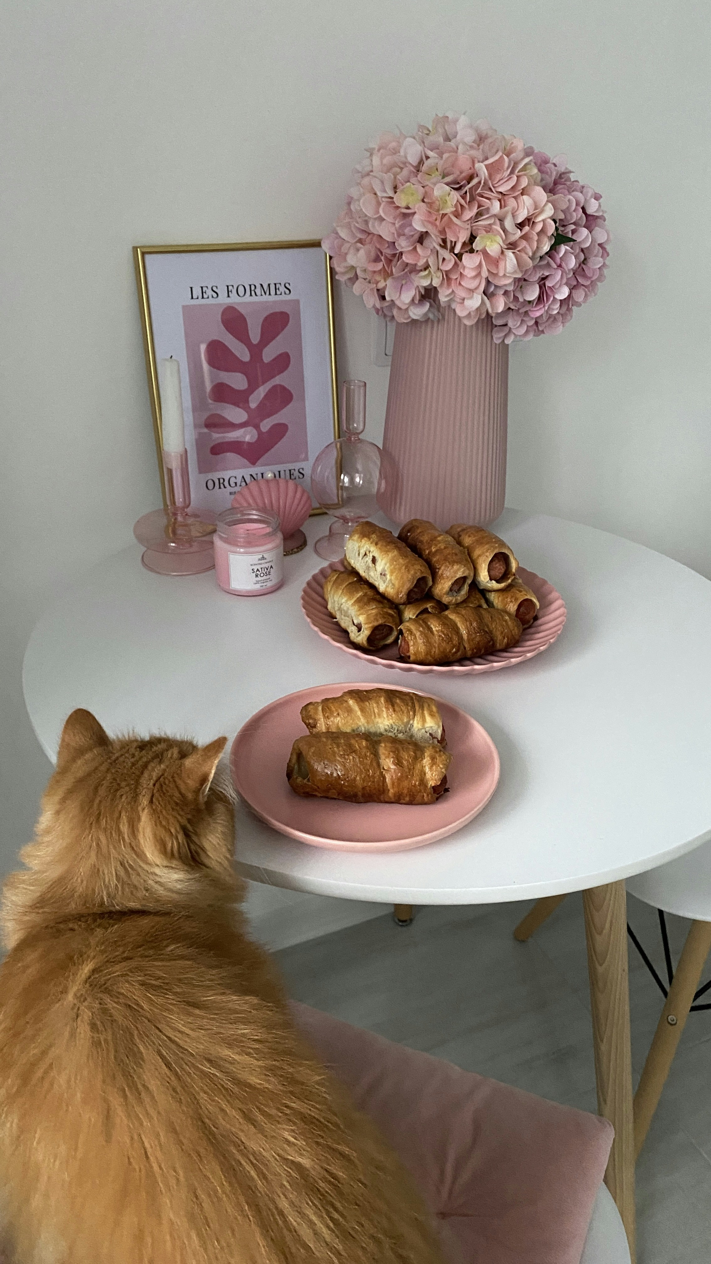 The Breakfast Ritual (image credits: unsplash)