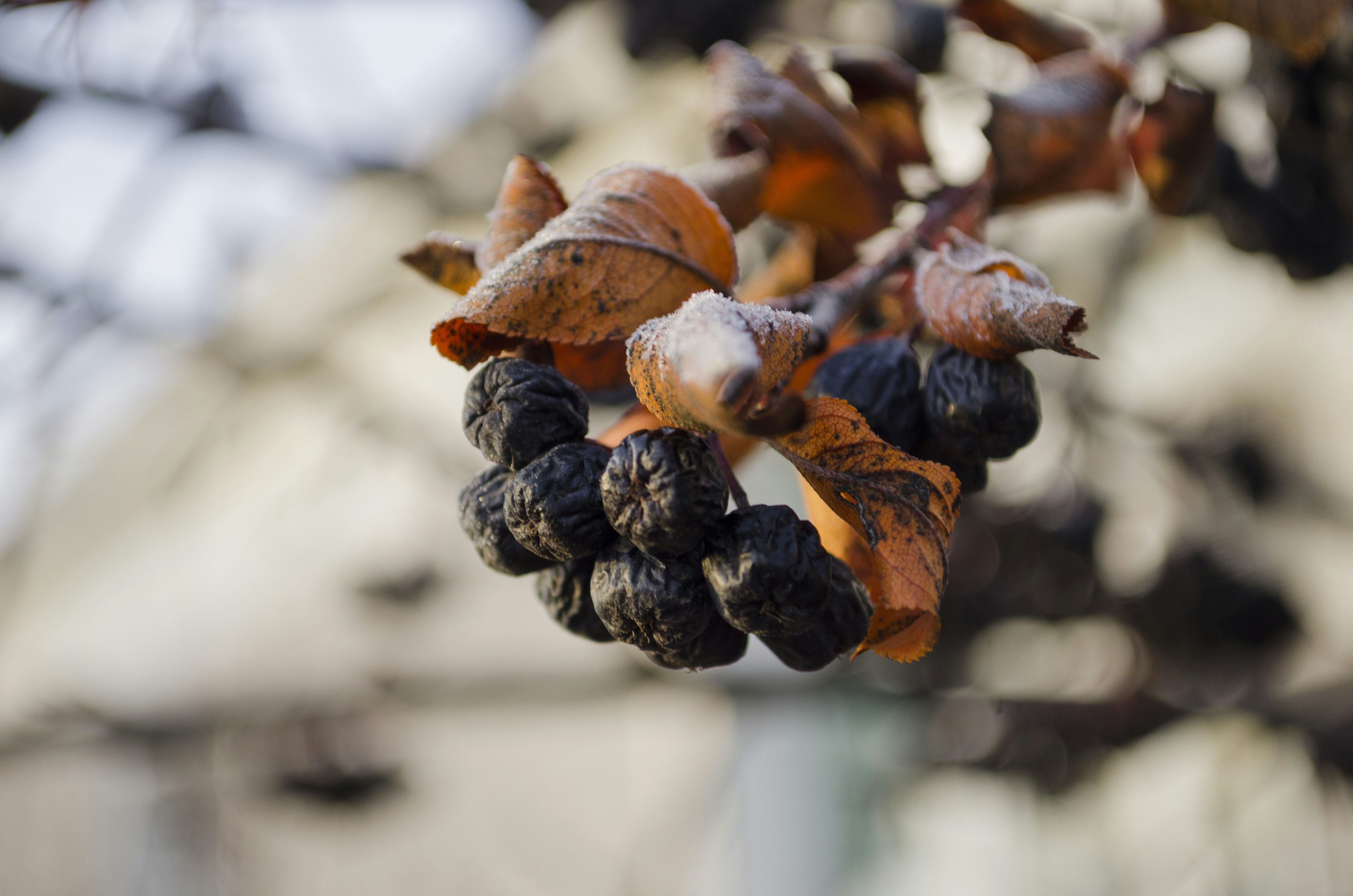 Photo by demin_nikol