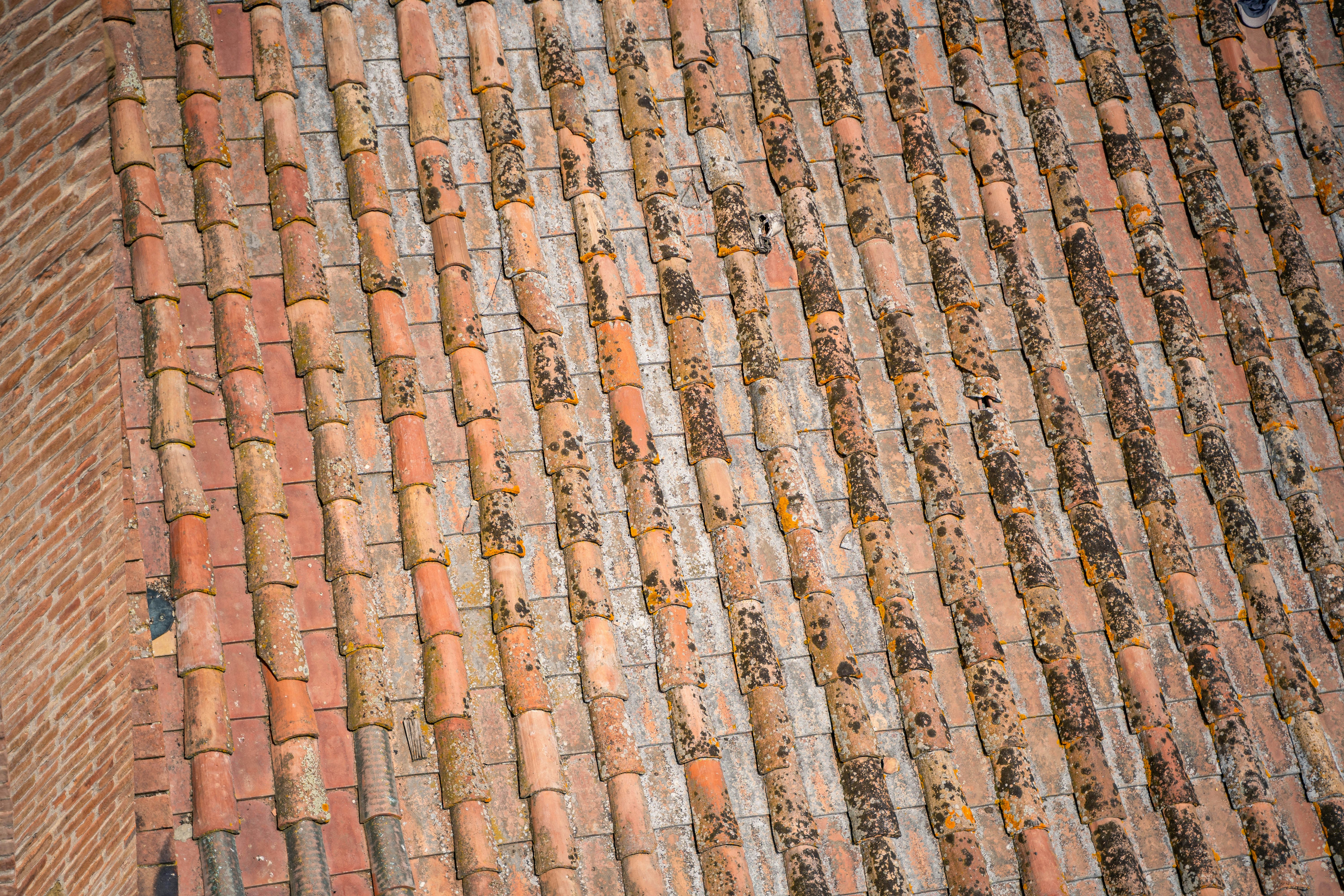 Taste The Finest Tuscan Cuisine