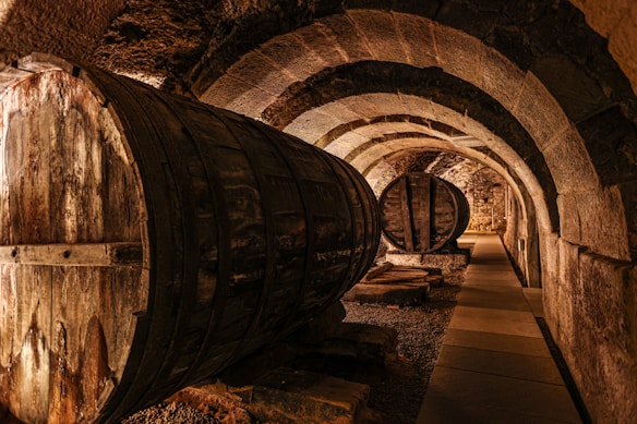 A dimly lit stone cellar features massive wooden barrels lining the arched walls. The rustic setting has a warm, golden glow, emphasizing the texture of the stone and wood. The path is paved and clean, suggesting a maintained and functional space.