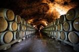 a large room with barrels