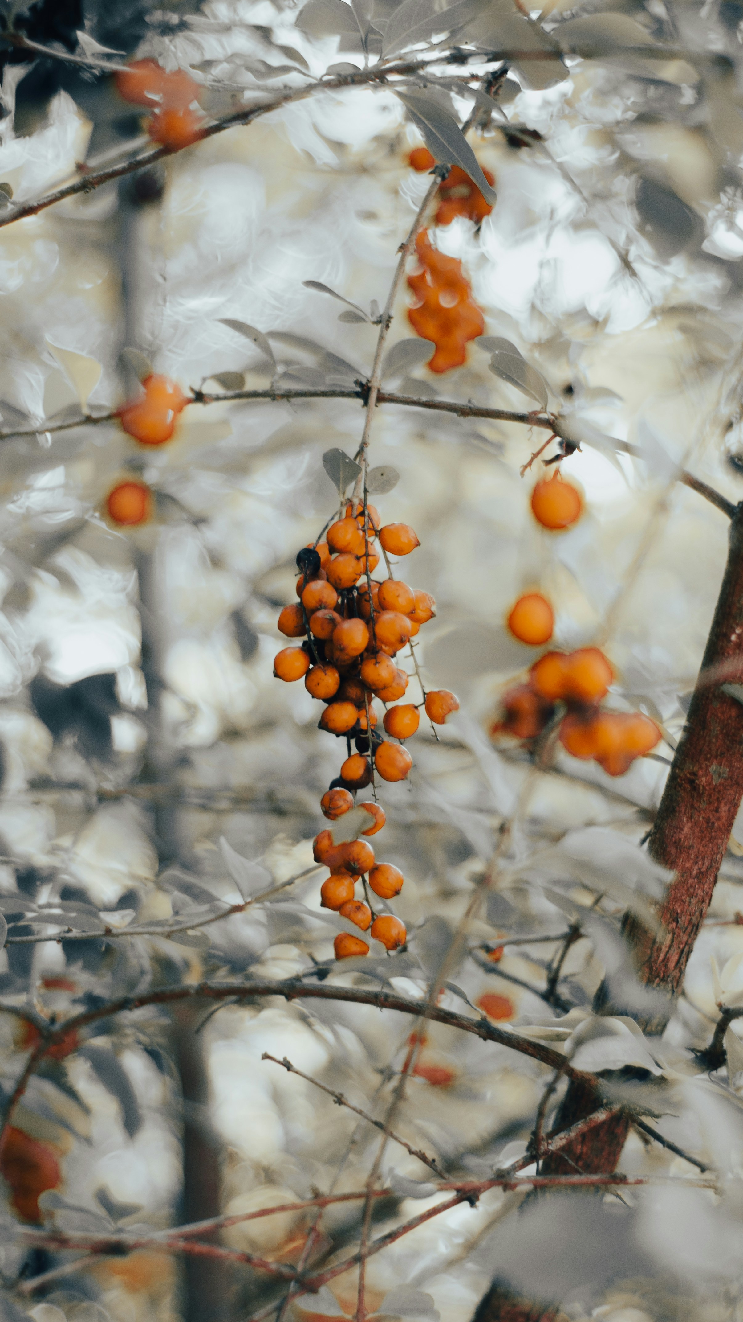 Photo by yadunandlal