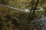 A lush, green forest setting with a wooden boardwalk curving through it. Several people are walking along the path, which is surrounded by dense vegetation and trees. The scene includes a small waterway running parallel to the boardwalk, adding to the natural and serene environment.