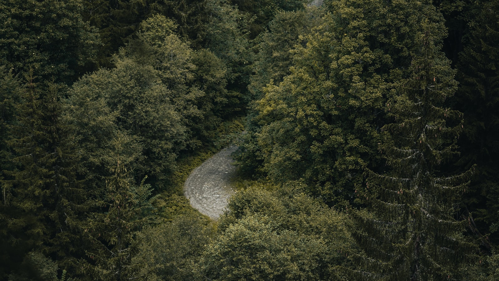 Delving Deeper: Silent Spaces as a Profitable Marketing Strategies