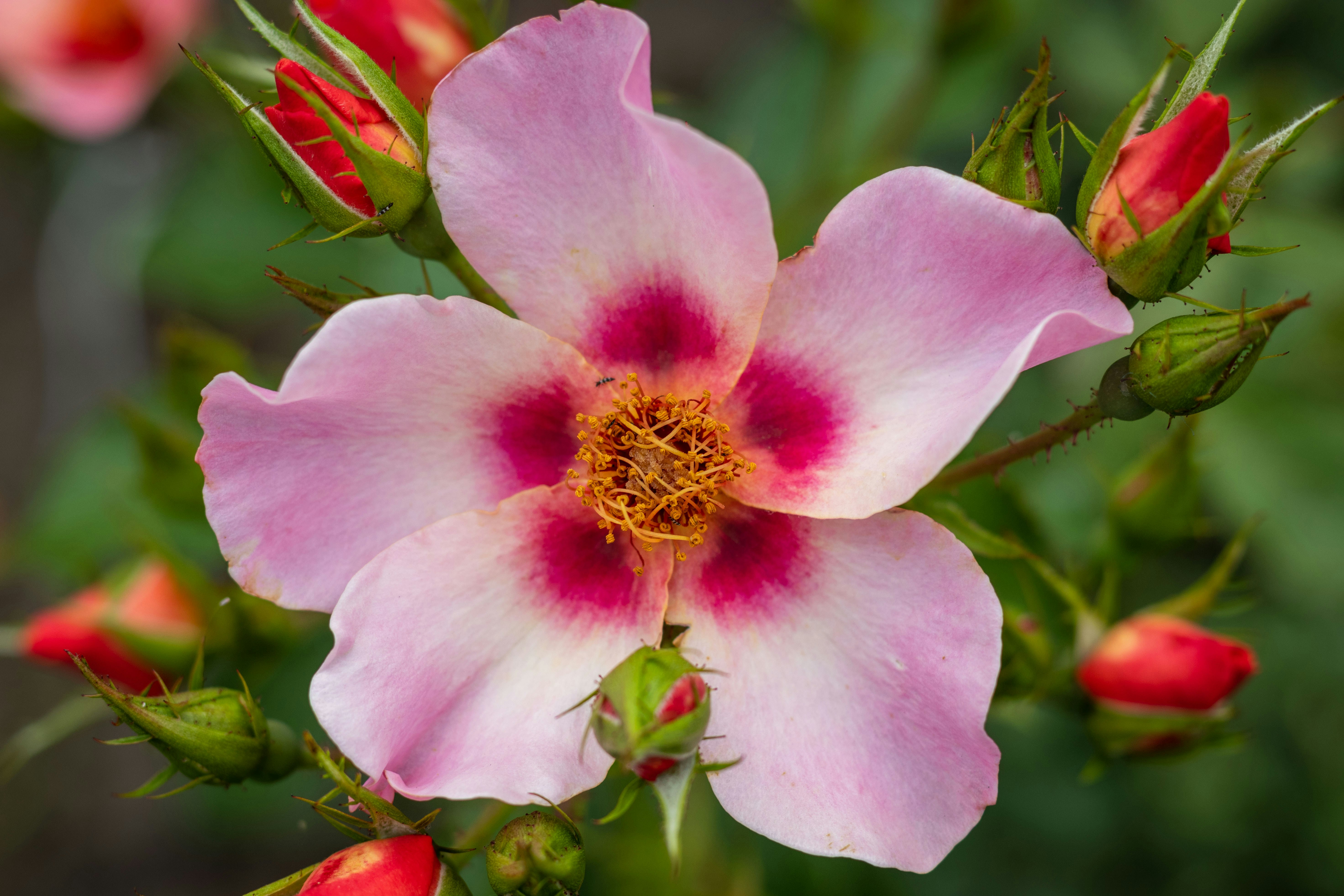 Photo by uin84917798