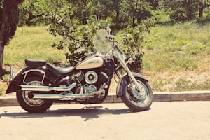 Classic Road Cruiser