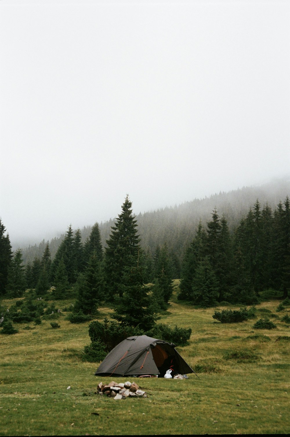 a tent in a field