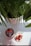 A bottle of Simply8 gummy vitamins sits in a bowl, next to a plate with three strawberries and some gummy pieces. A potted plant with green leaves partially shades the scene.