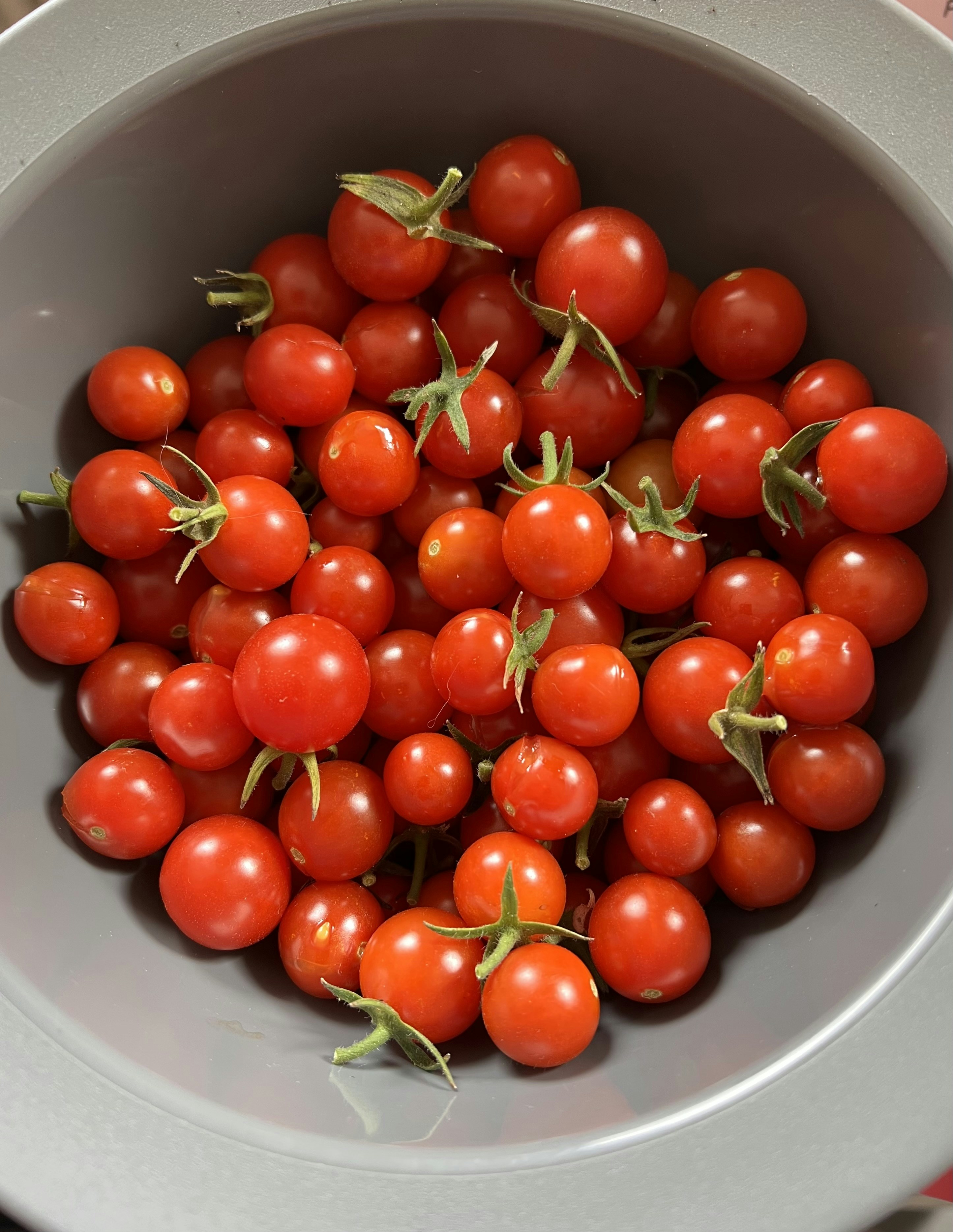 Pop‑Up Ready: Best Sampling Kits and Portable Displays for Indie Face Cream Brands in the UK (2026 Field Review)