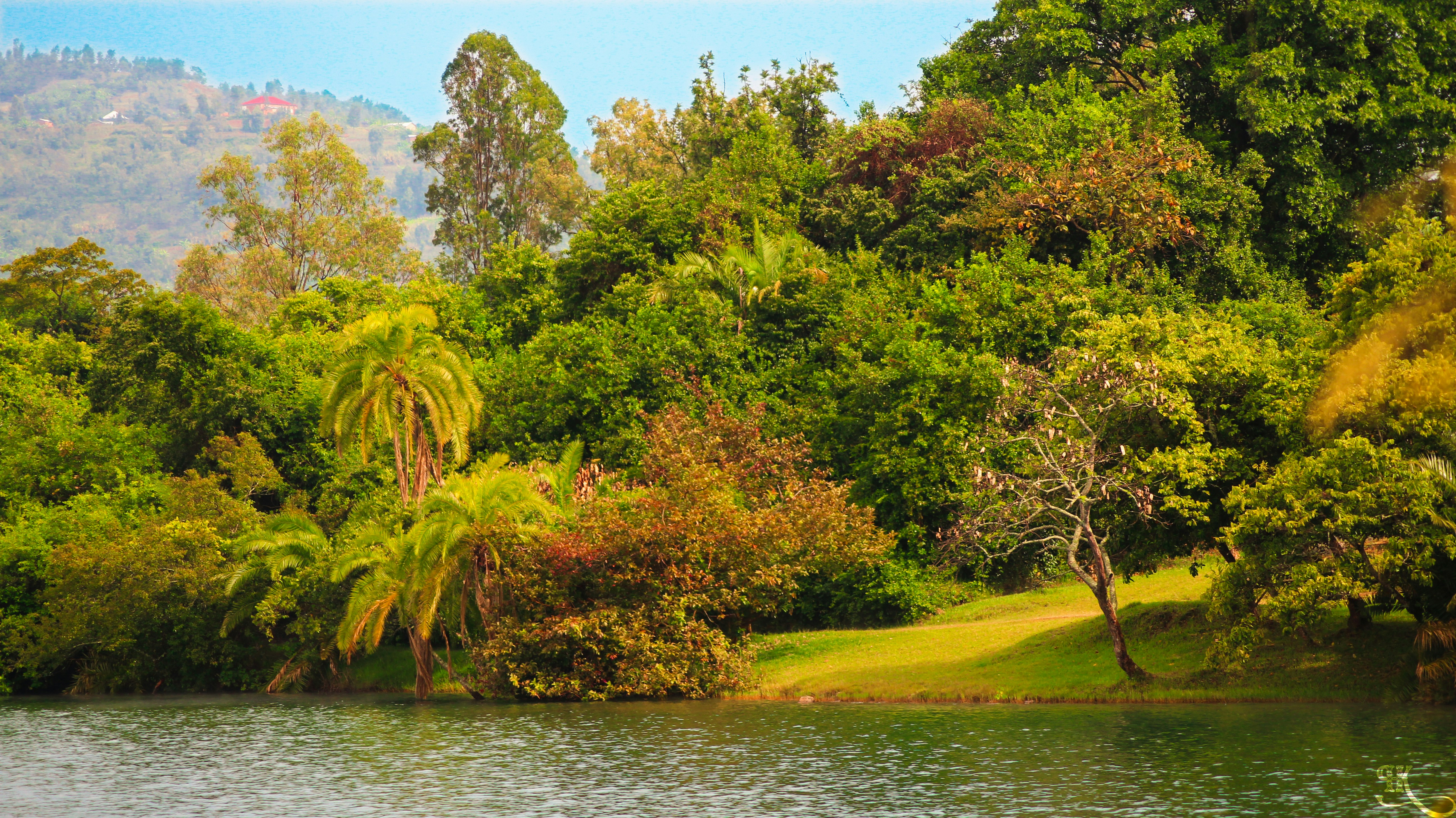 Photo by k_hills_pictures