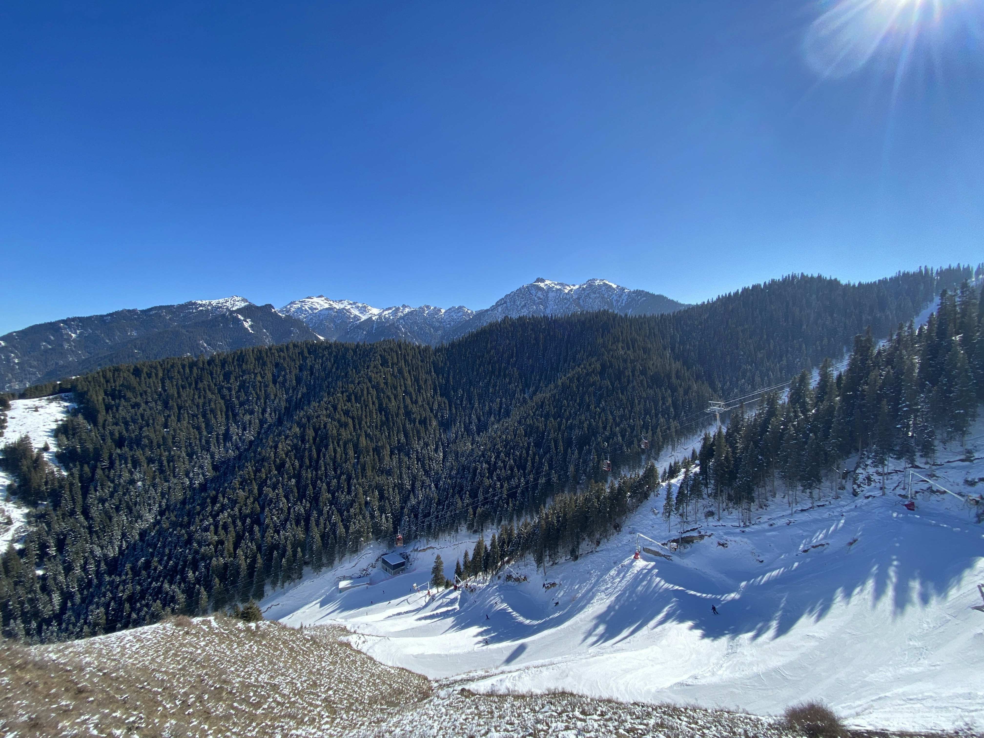 Bulgarian ski resort snowy mountain slopes, pine trees, clear blue winter sky