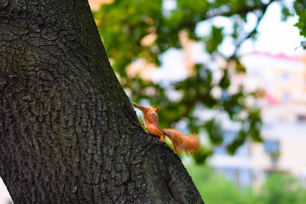 a bird perched on a tree