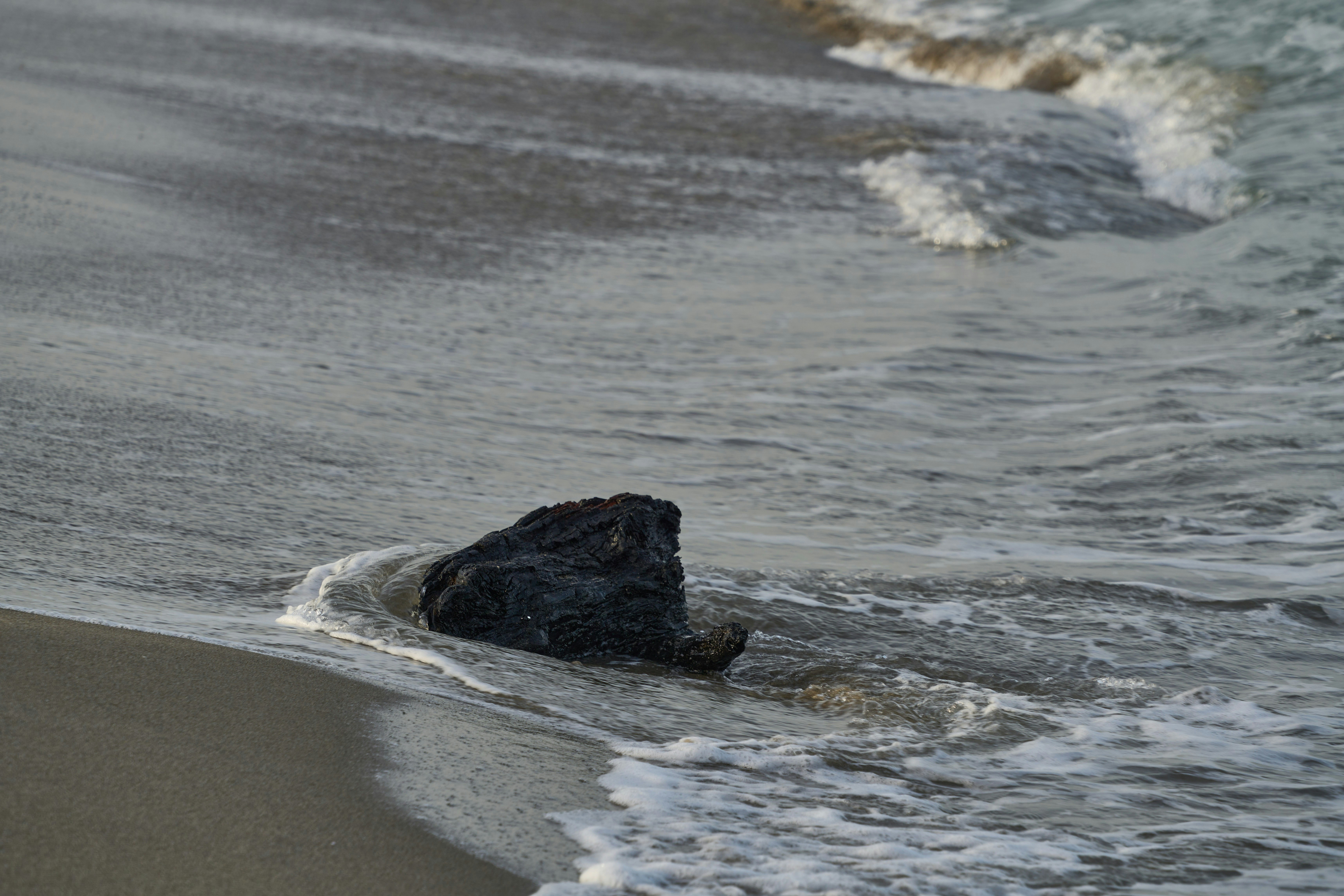 Photo by wolfgang_hasselmann