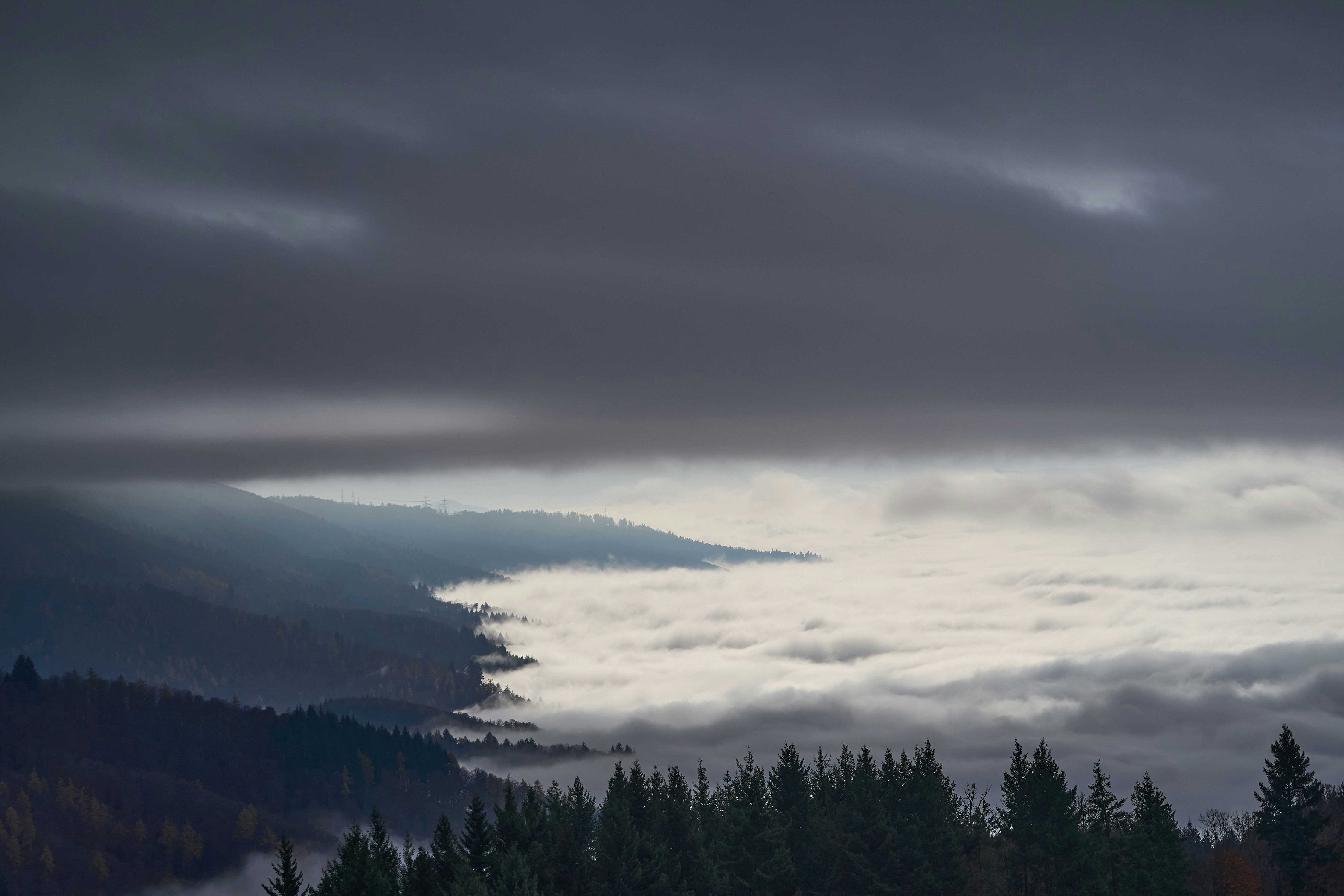 Photo by wolfgang_hasselmann