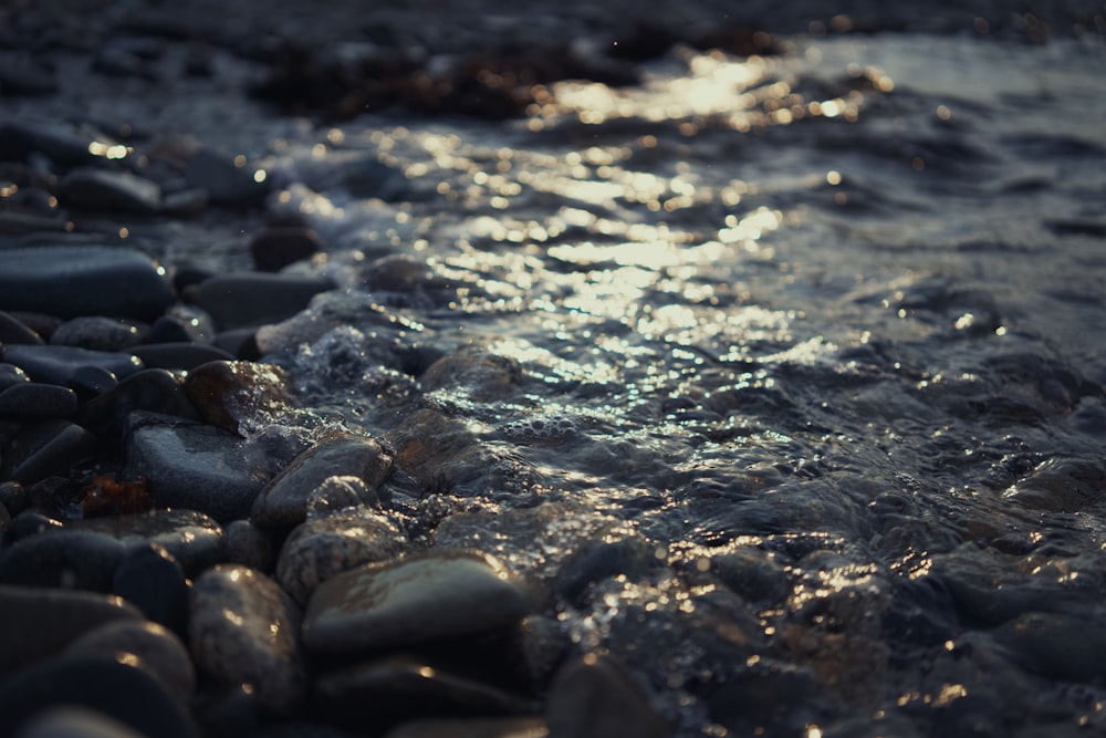 a rocky beach with water