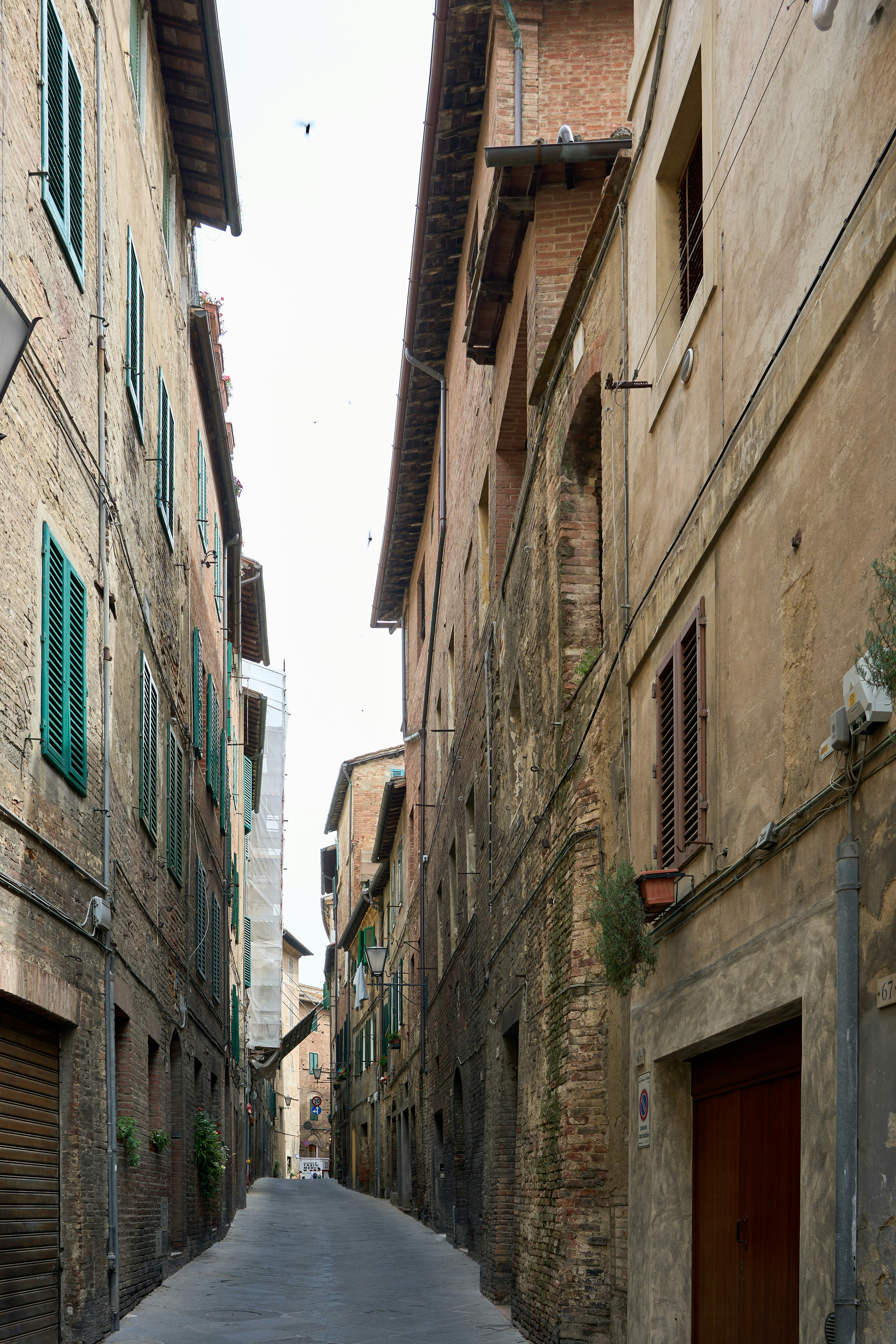 Photo by wolfgang_hasselmann