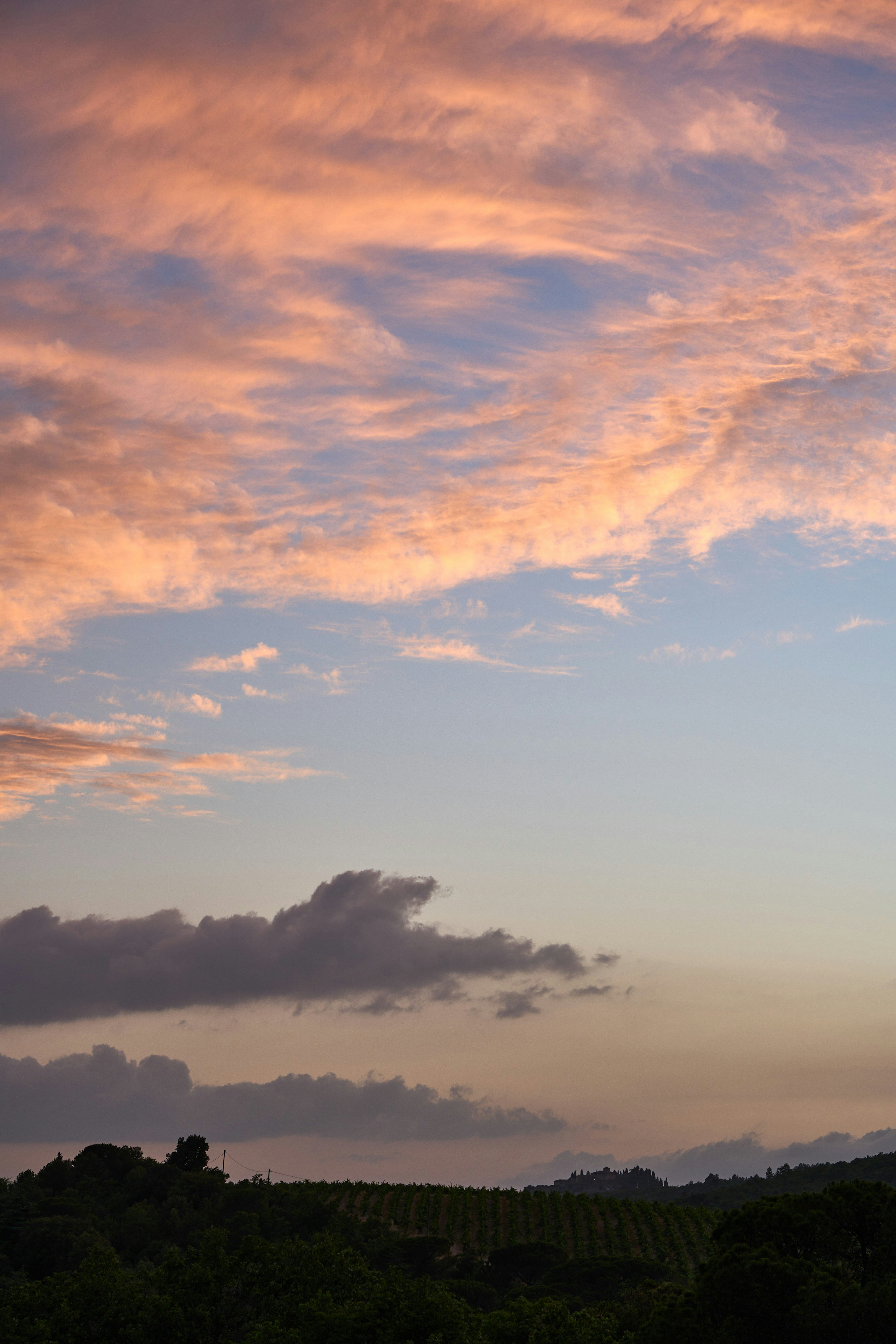 Photo by wolfgang_hasselmann