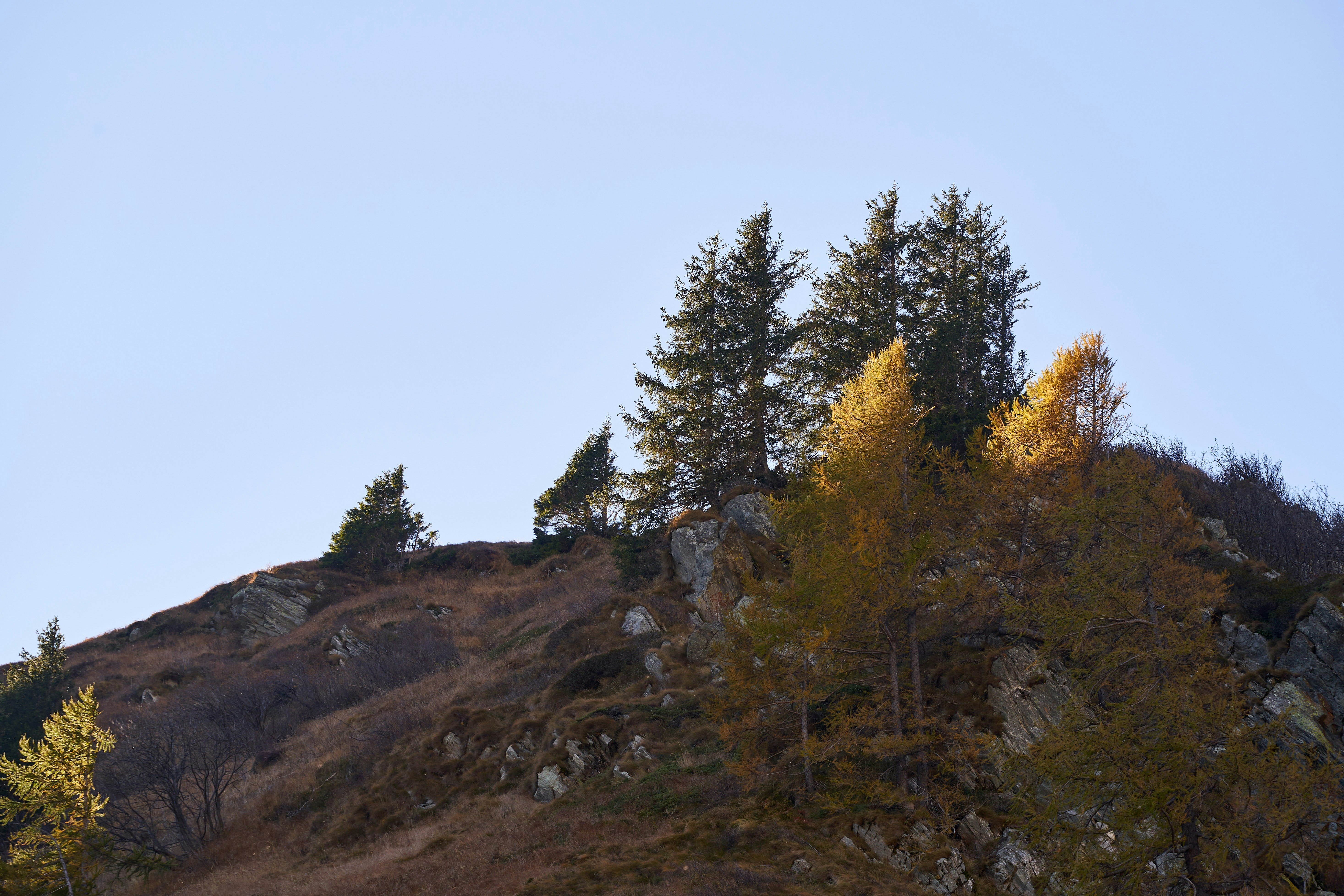 Image by Wolfgang Hasselmann via Unsplash