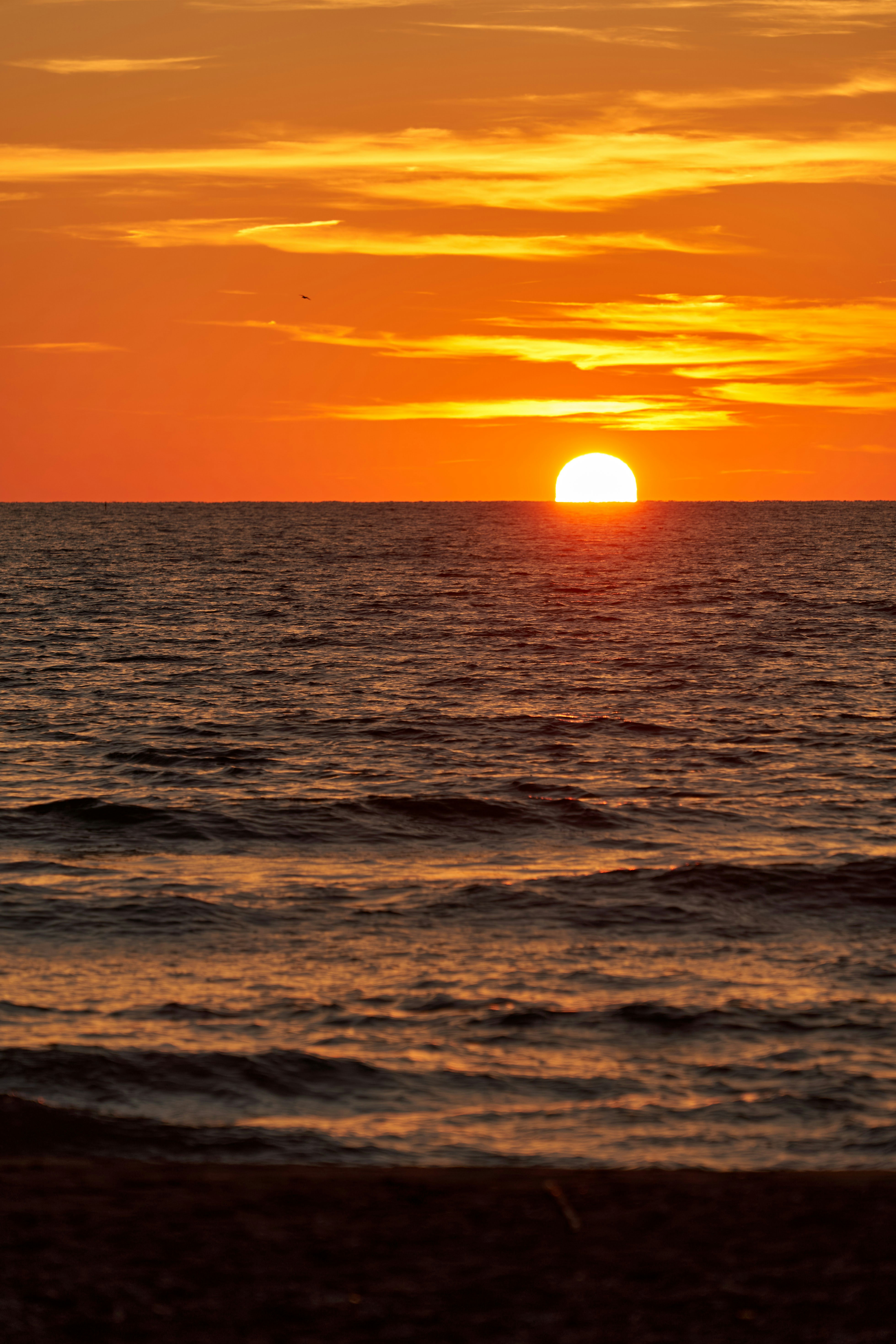 Photo by wolfgang_hasselmann