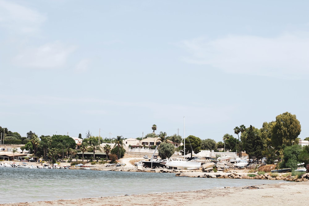 a beach with boats and houses