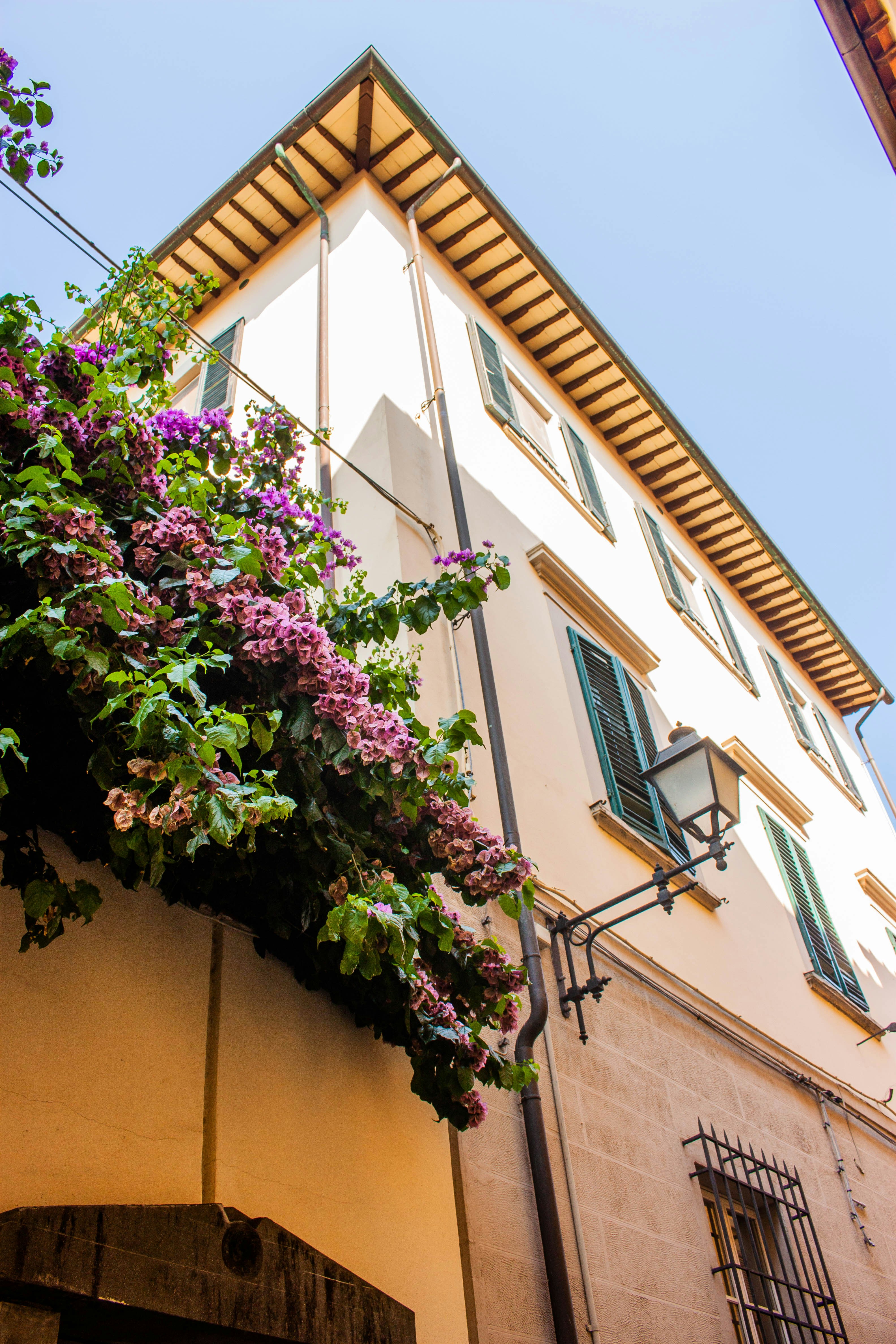 Photo by kamillaisalieva