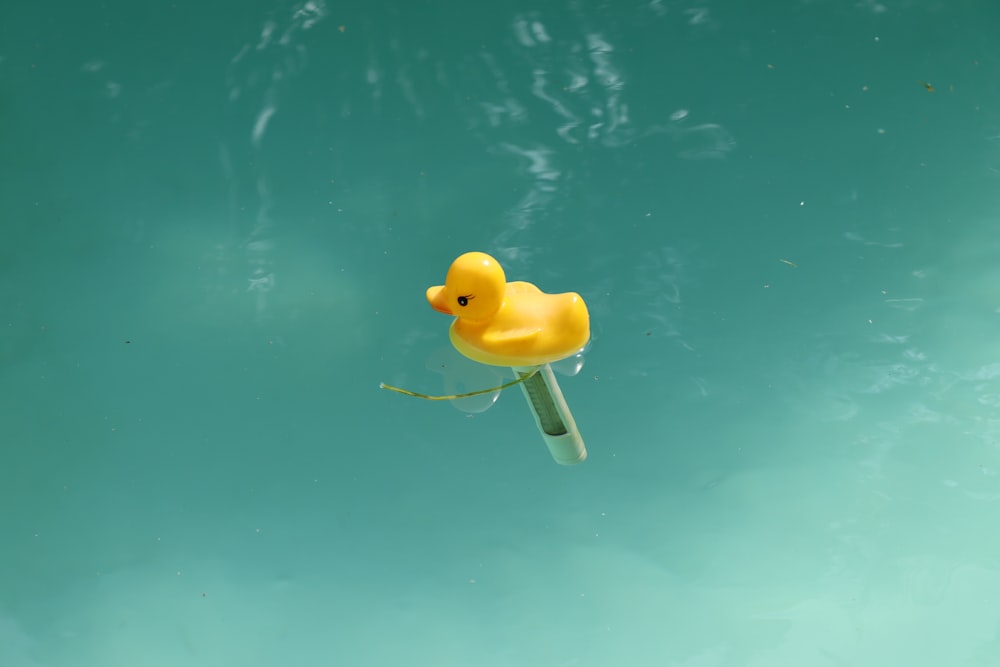 a yellow rubber duck floating in water