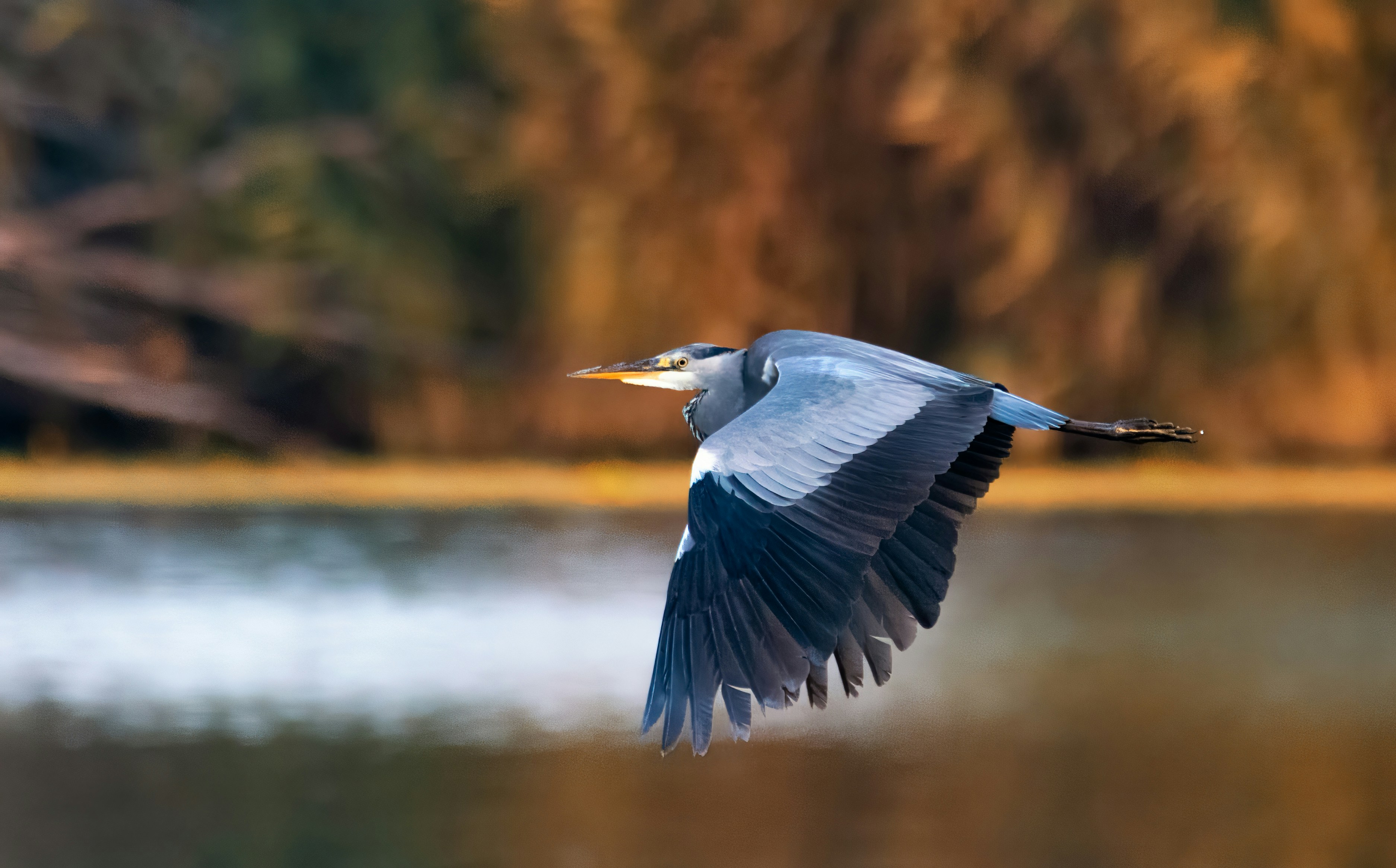 Photo by eddiemaiden