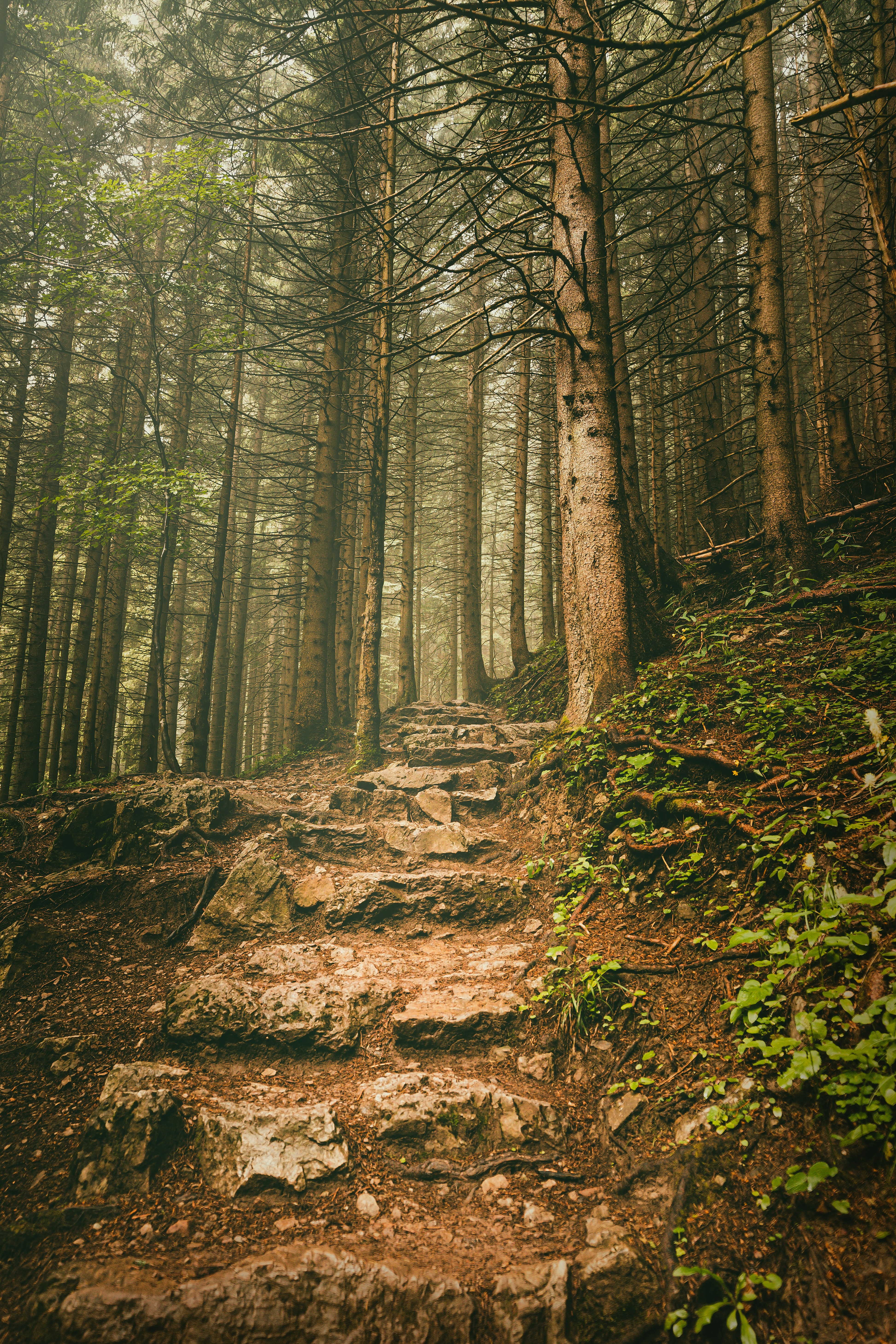 Photo by fullofframe