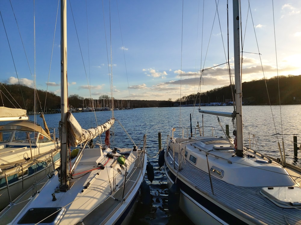 a group of boats on a body of water