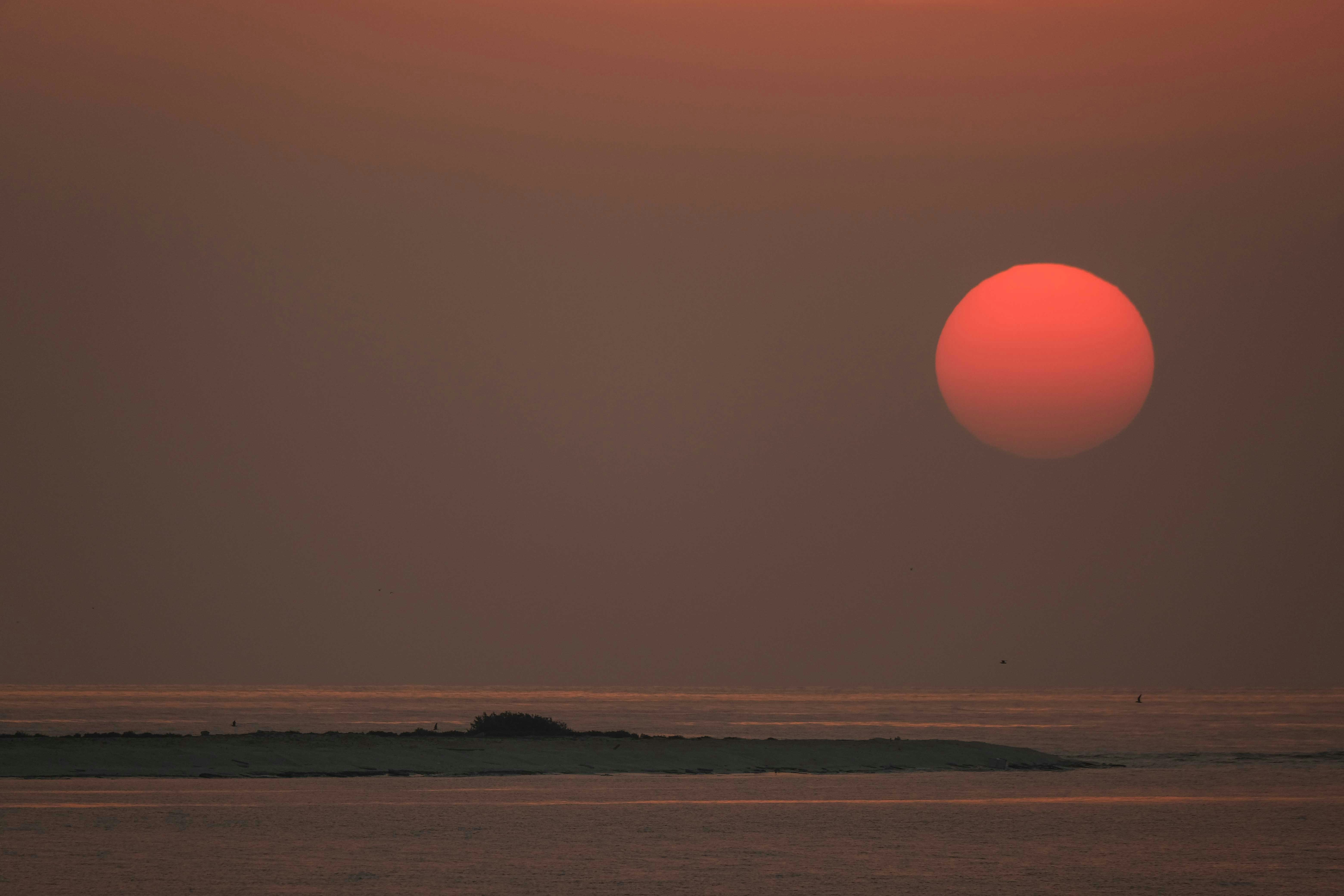 Photo by francesco_ungaro